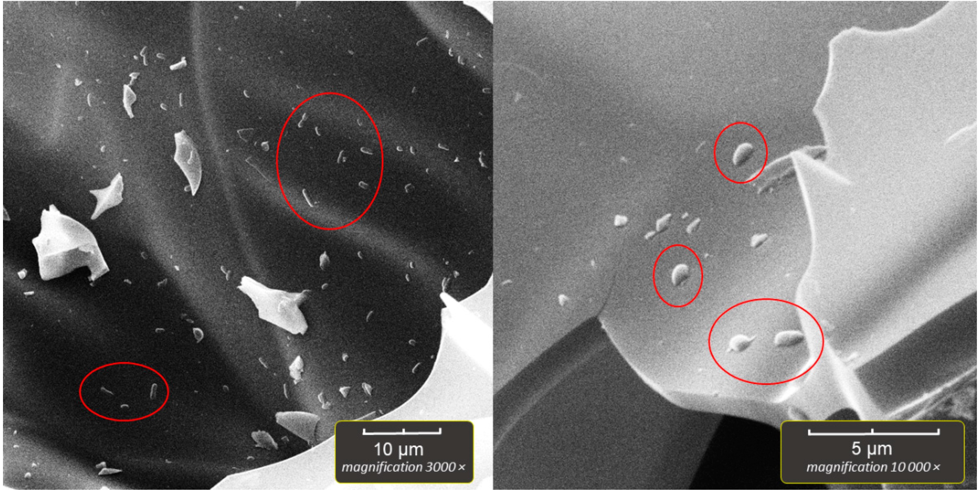 Applsci 12 08808 g008 550