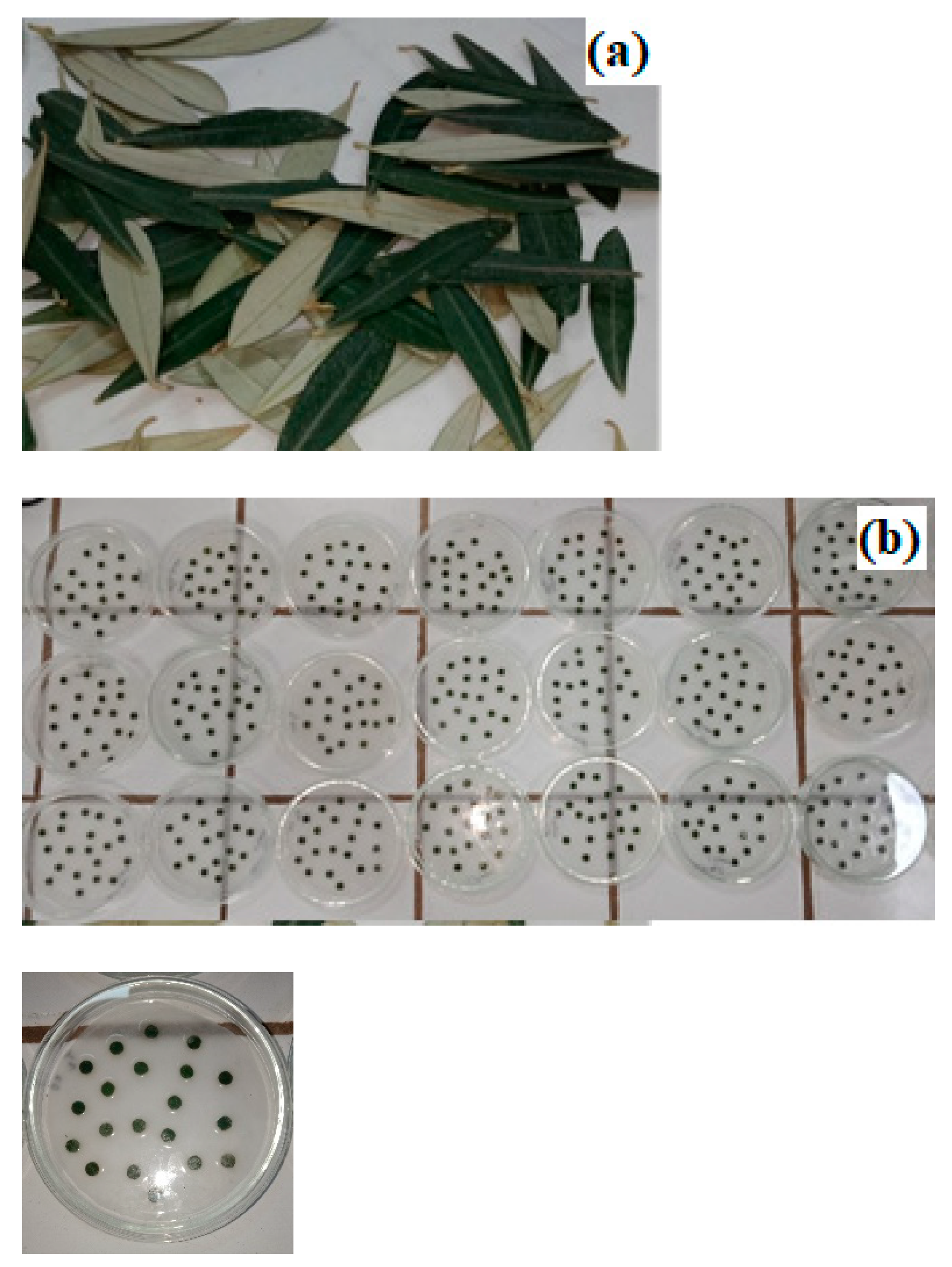 Applsci 12 08842 g002 Applsci 12 08842 g002