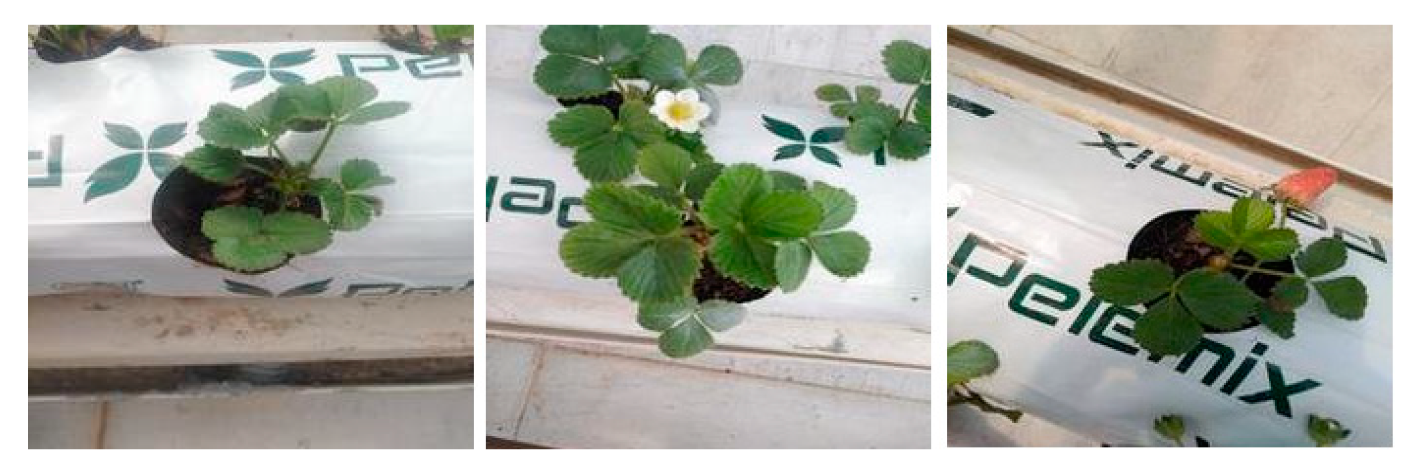 Applsci 12 08860 g002 550