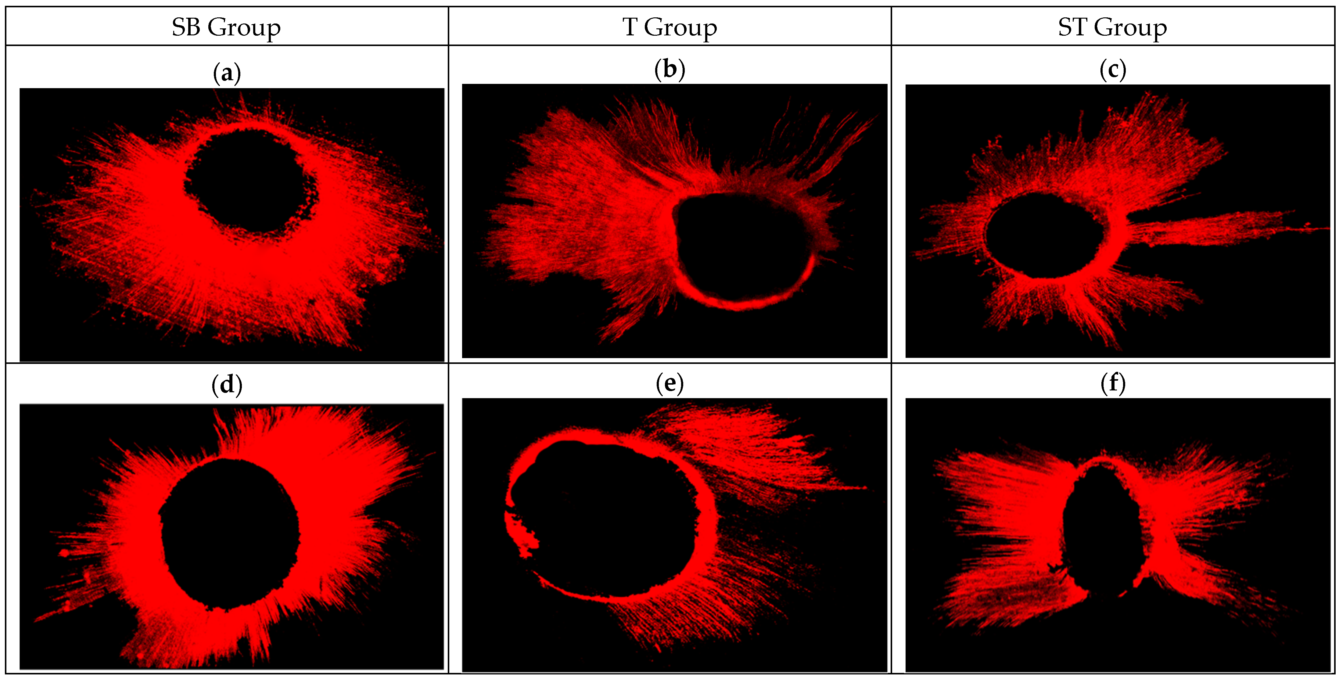 Applsci 12 08877 g002