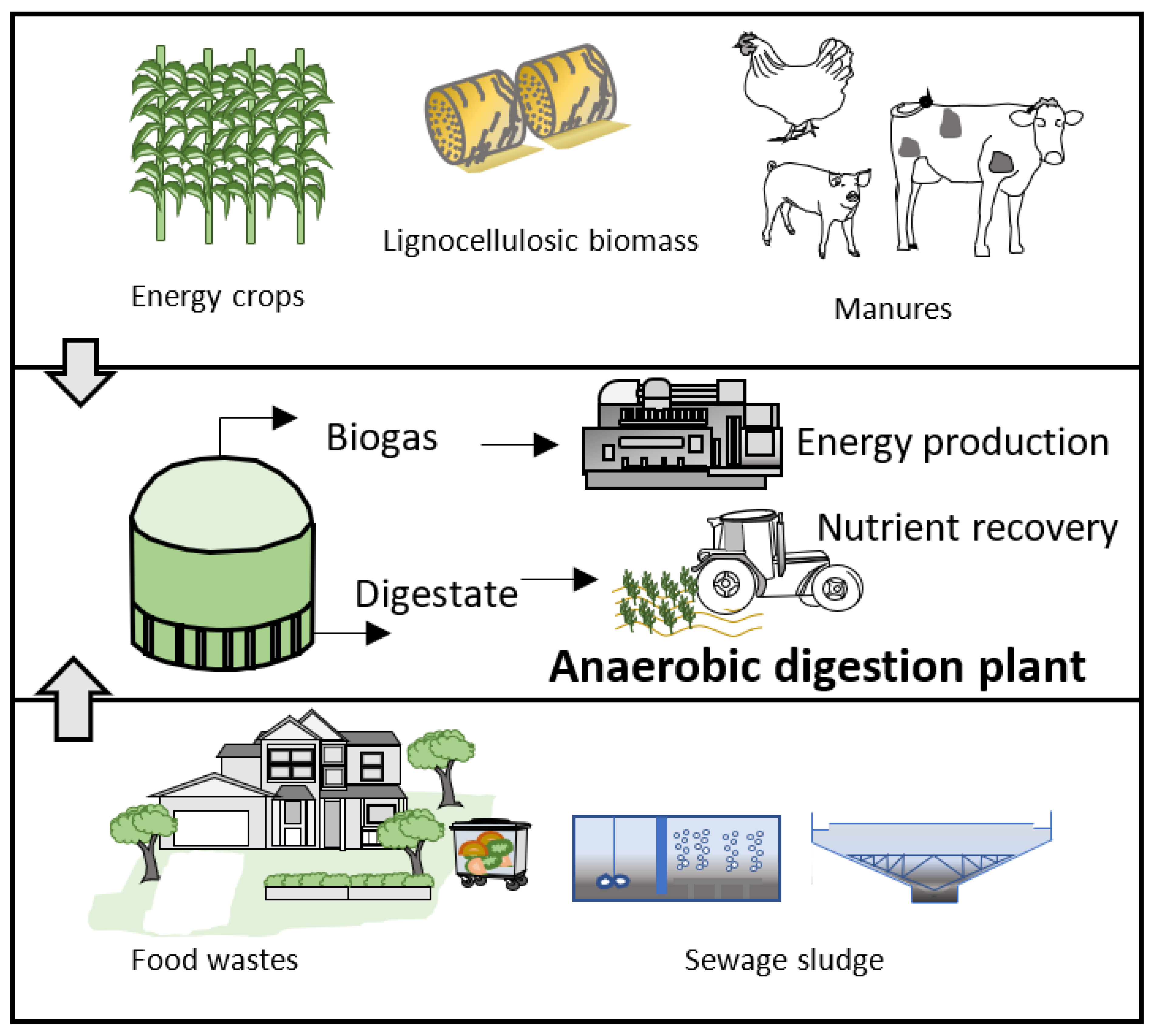 Applied Sciences Free FullText Anaerobic CoDigestion of Wastes