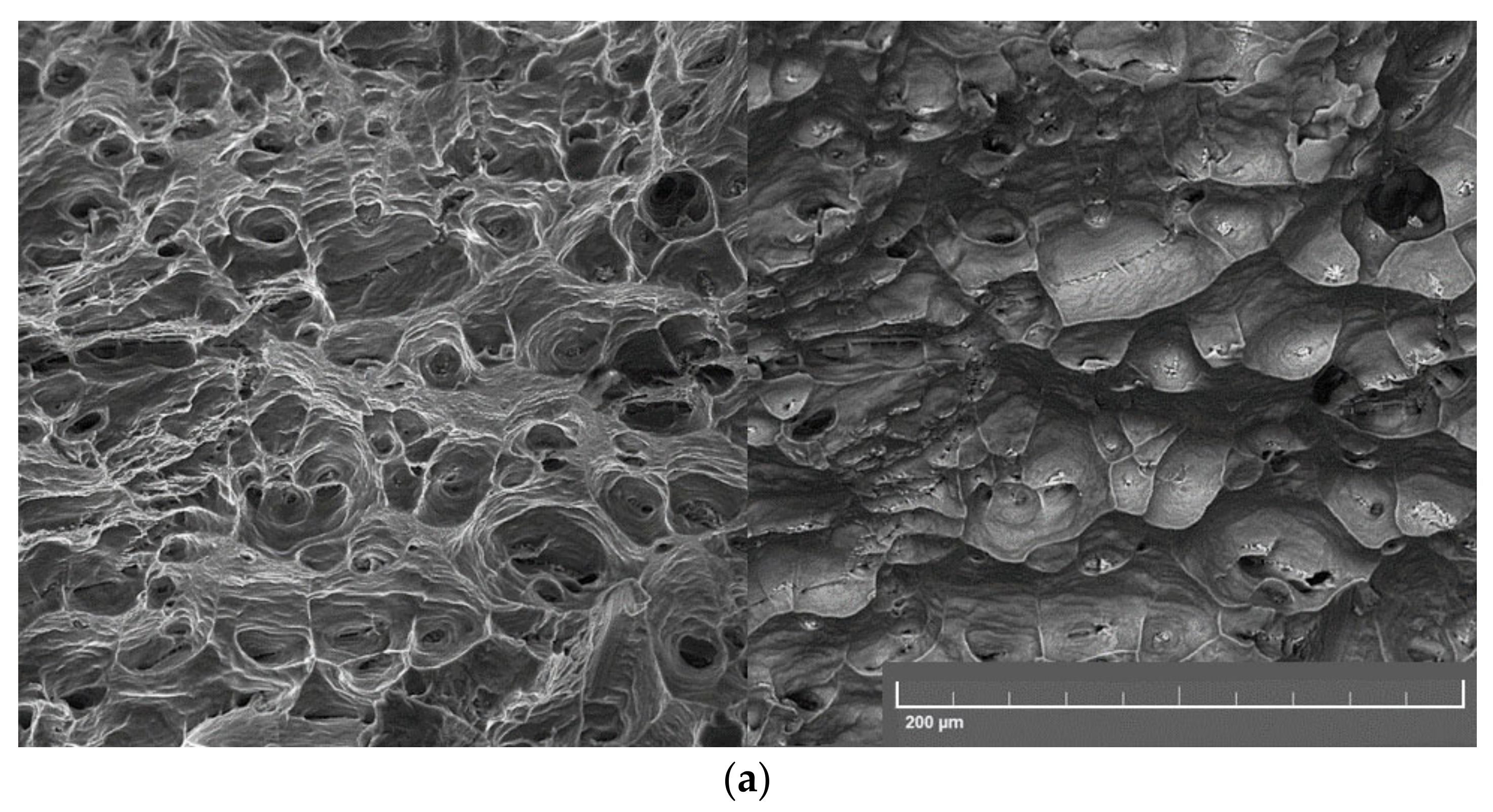 Applsci 12 08907 g011a