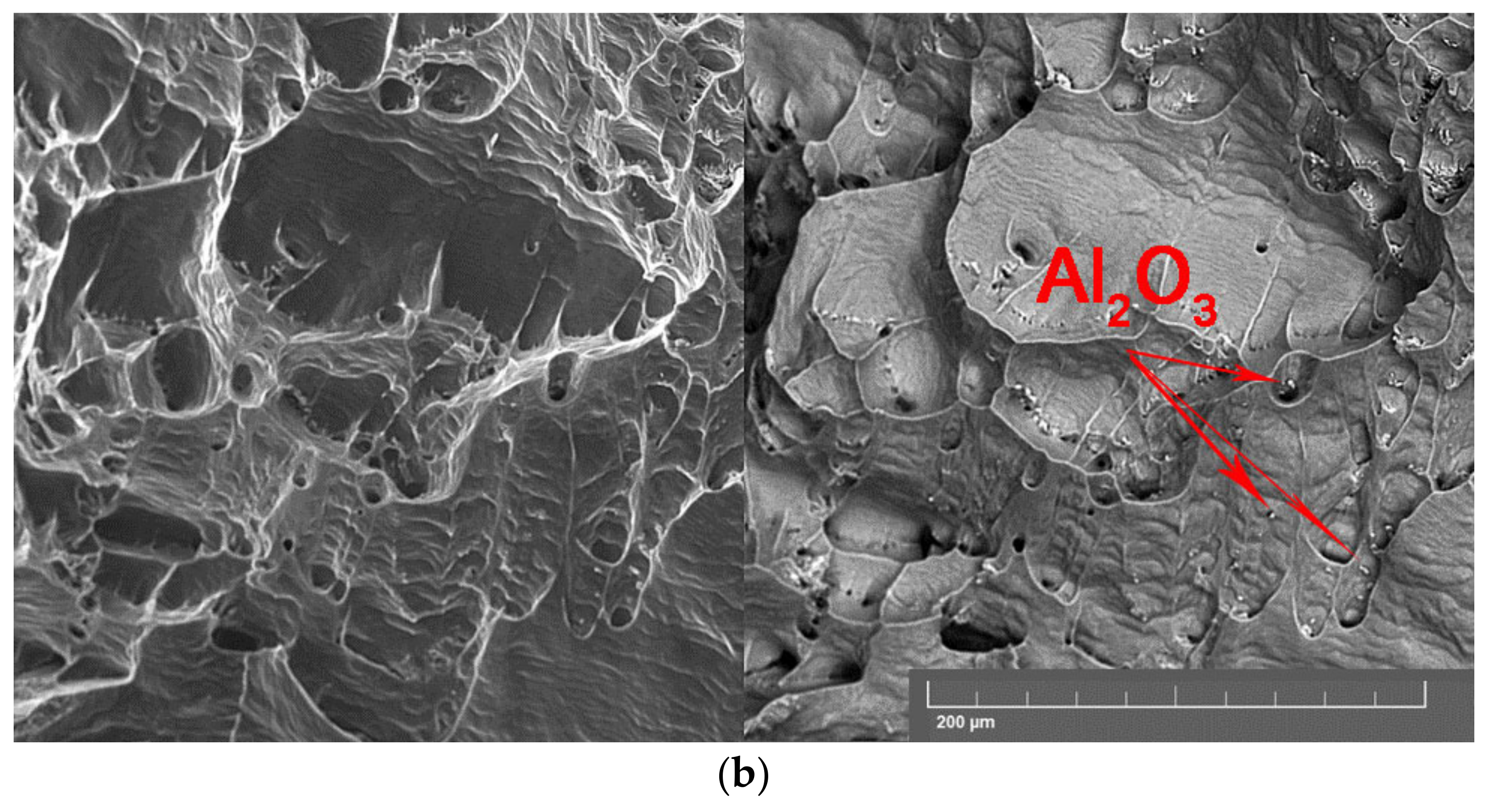 Applsci 12 08907 g011b