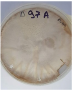 Applsci 12 08918 i003