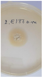 Applsci 12 08918 i006