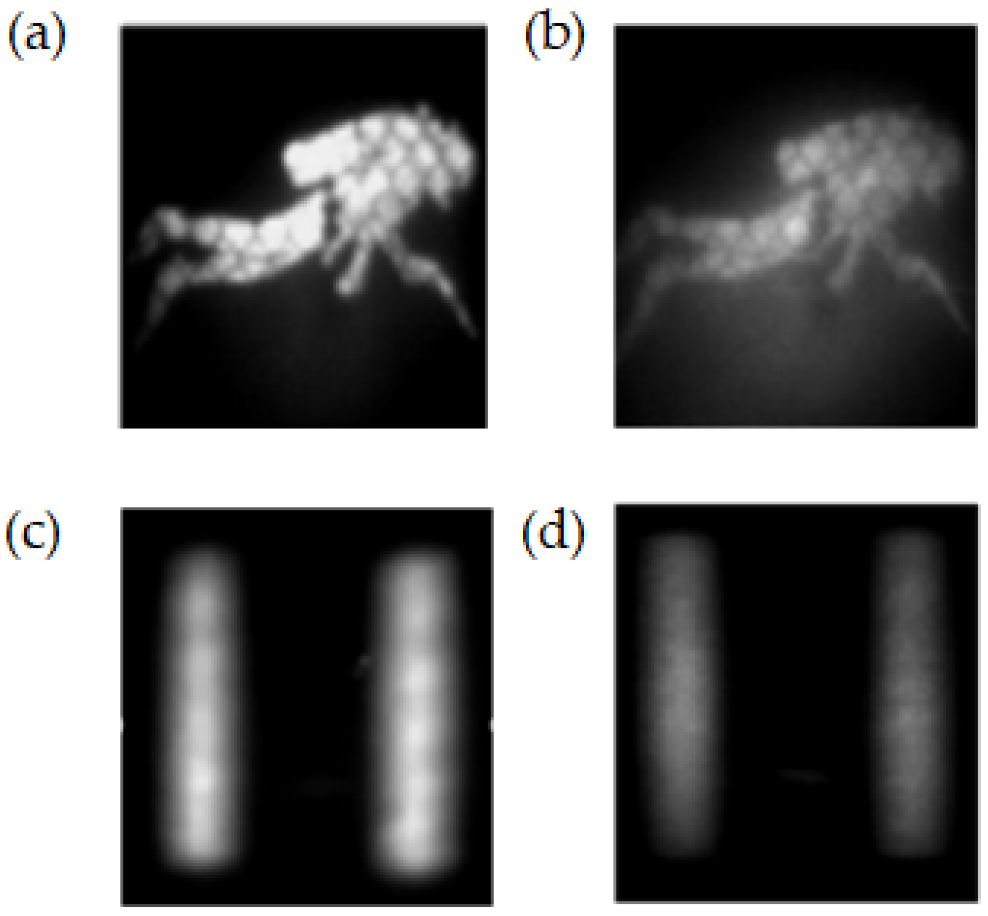 Applsci 12 08959 g006