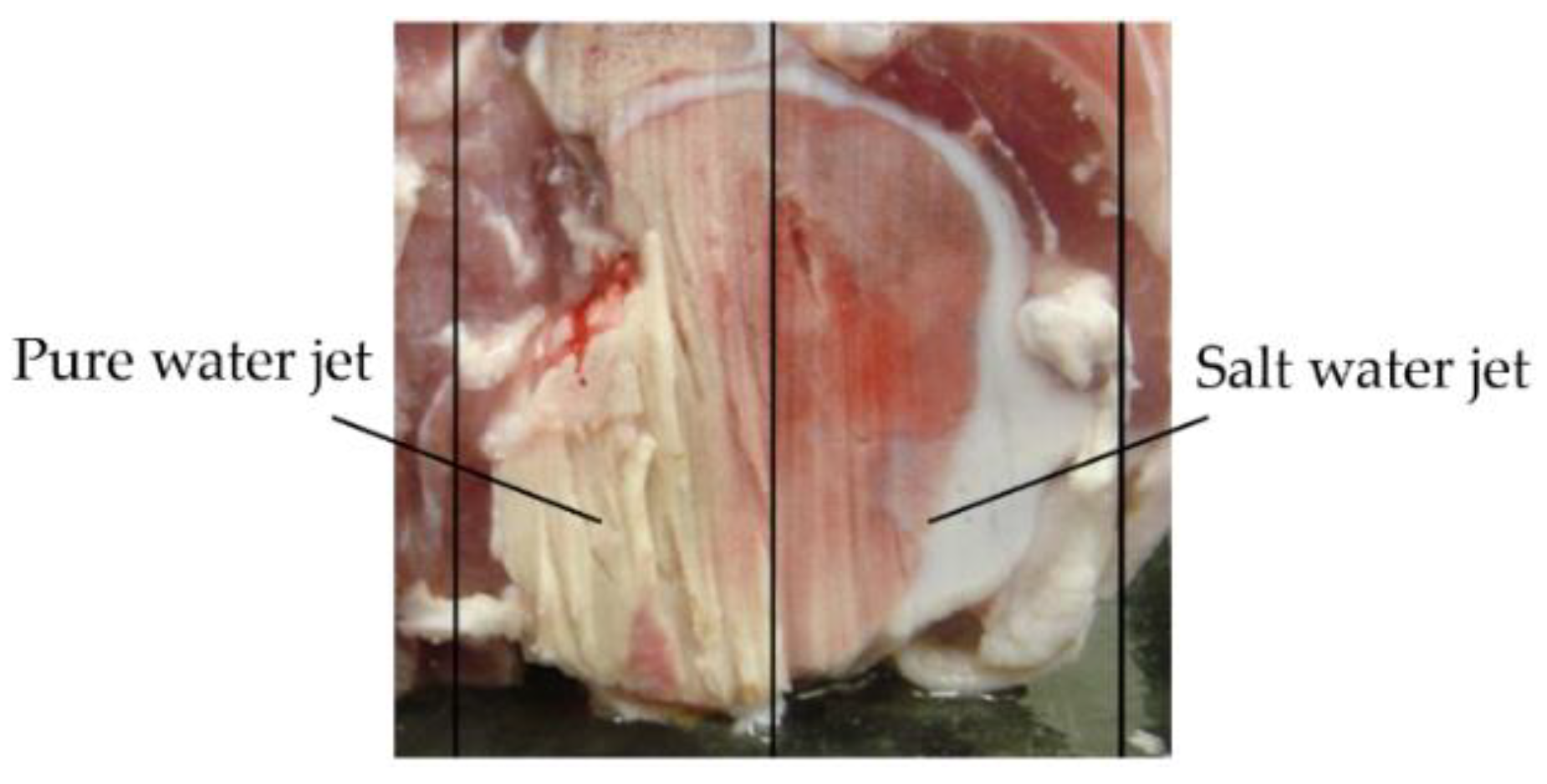 Applsci 12 08988 g004