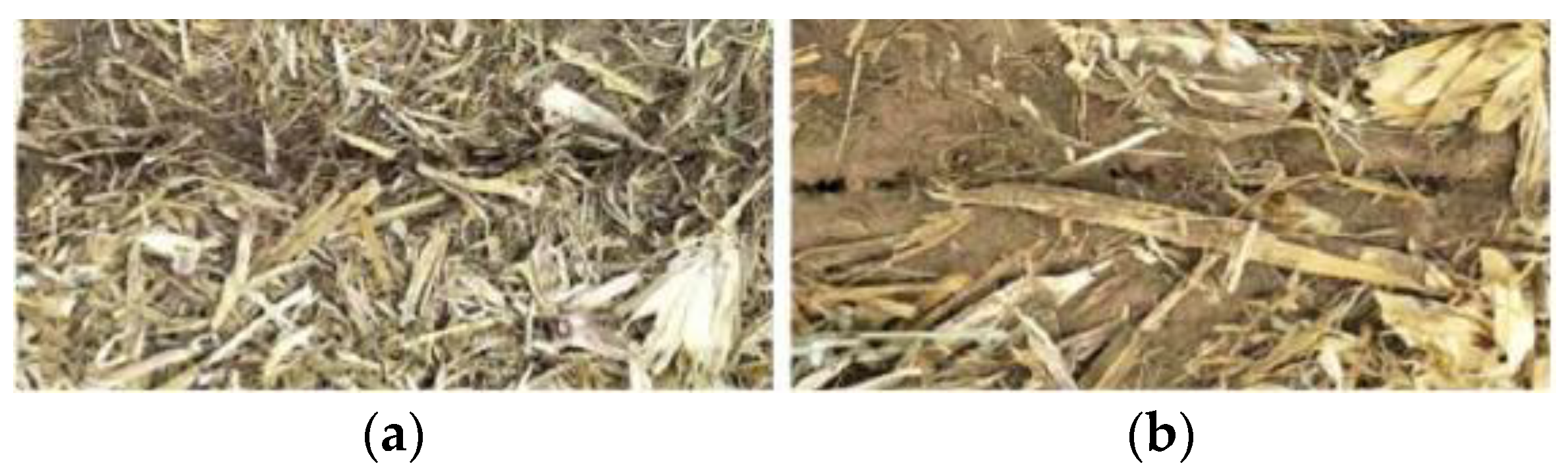 Applsci 12 08988 g007