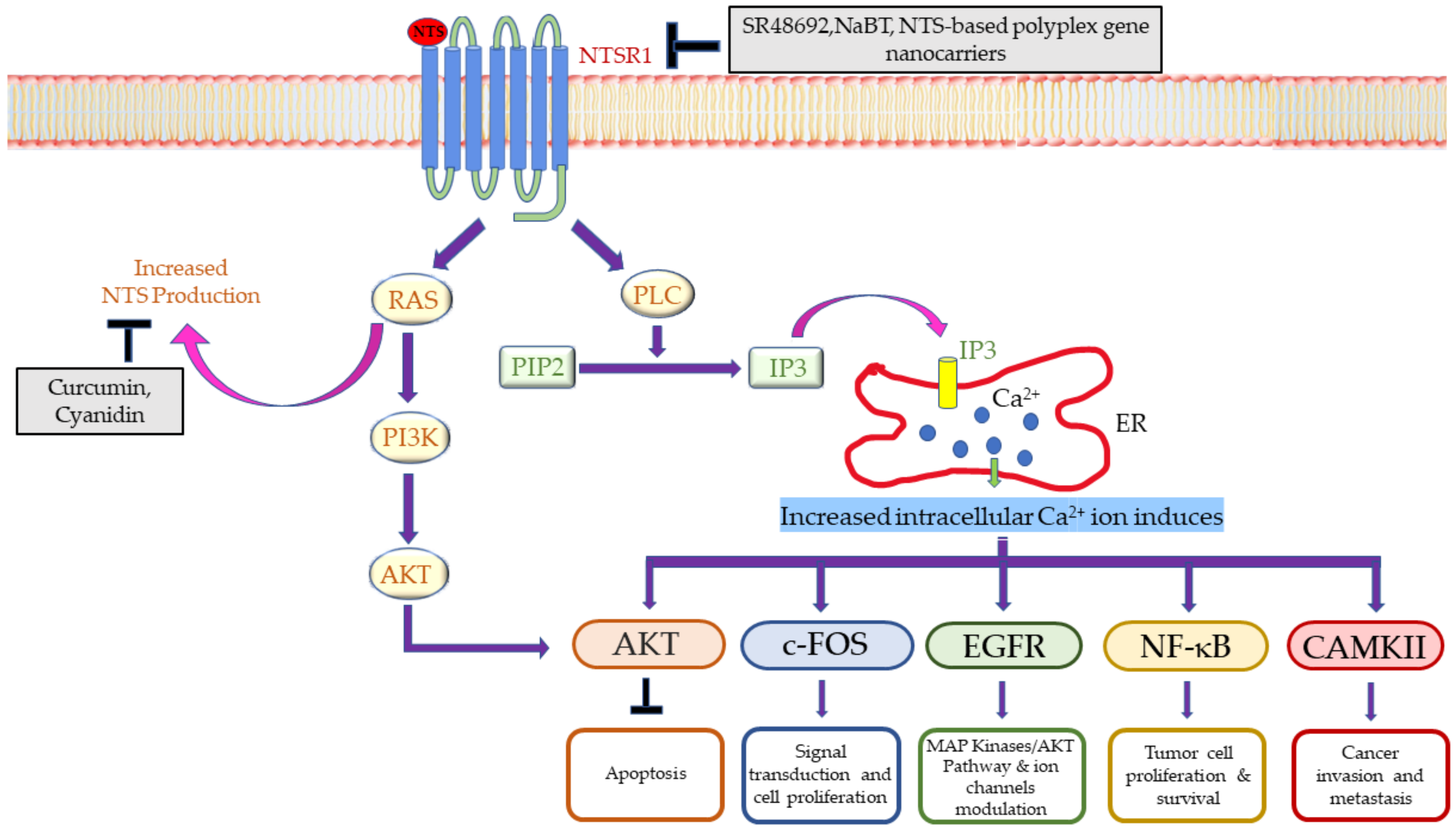 Applsci 12 08990 g002 550