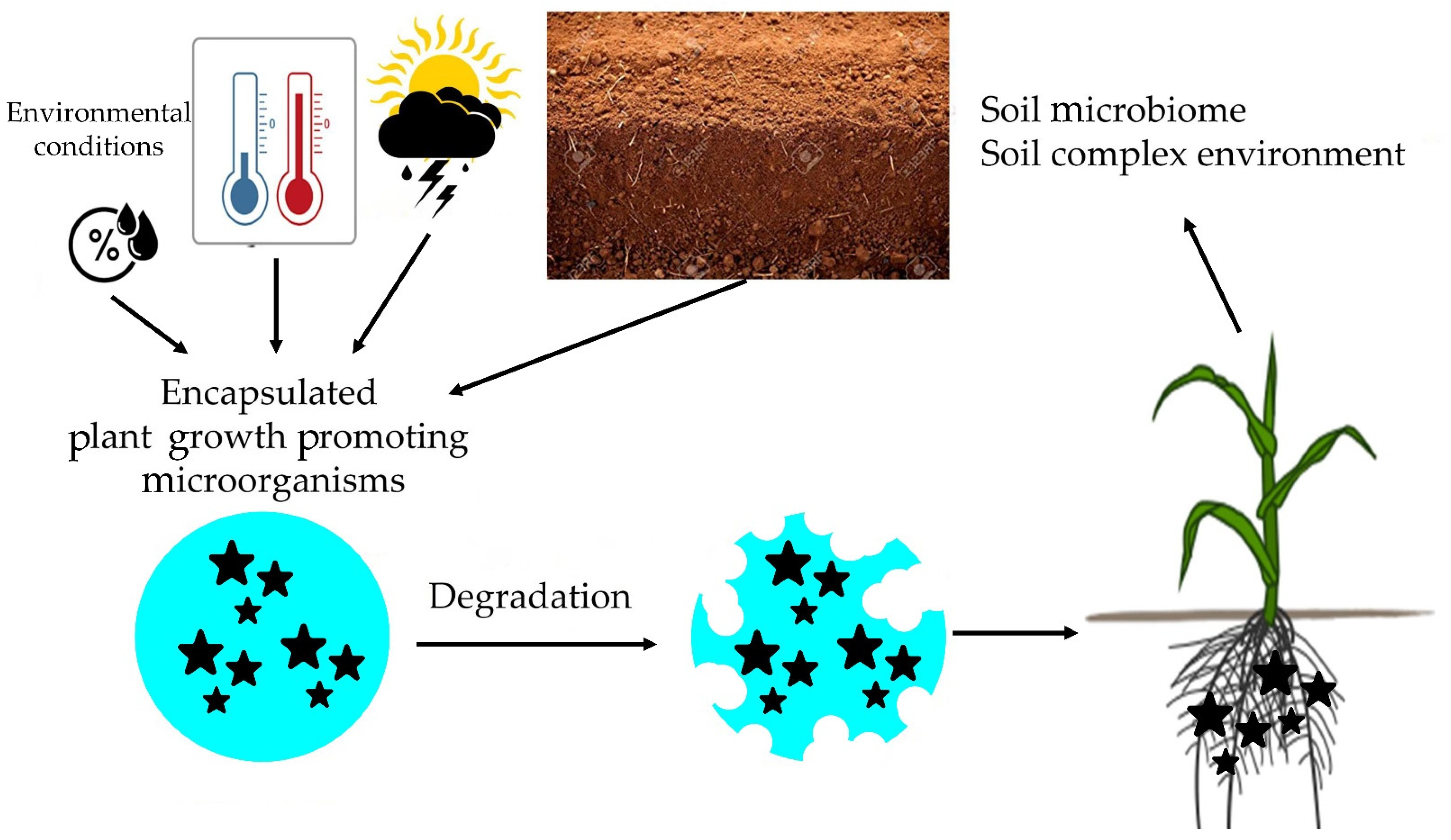 Applsci 12 09020 g001