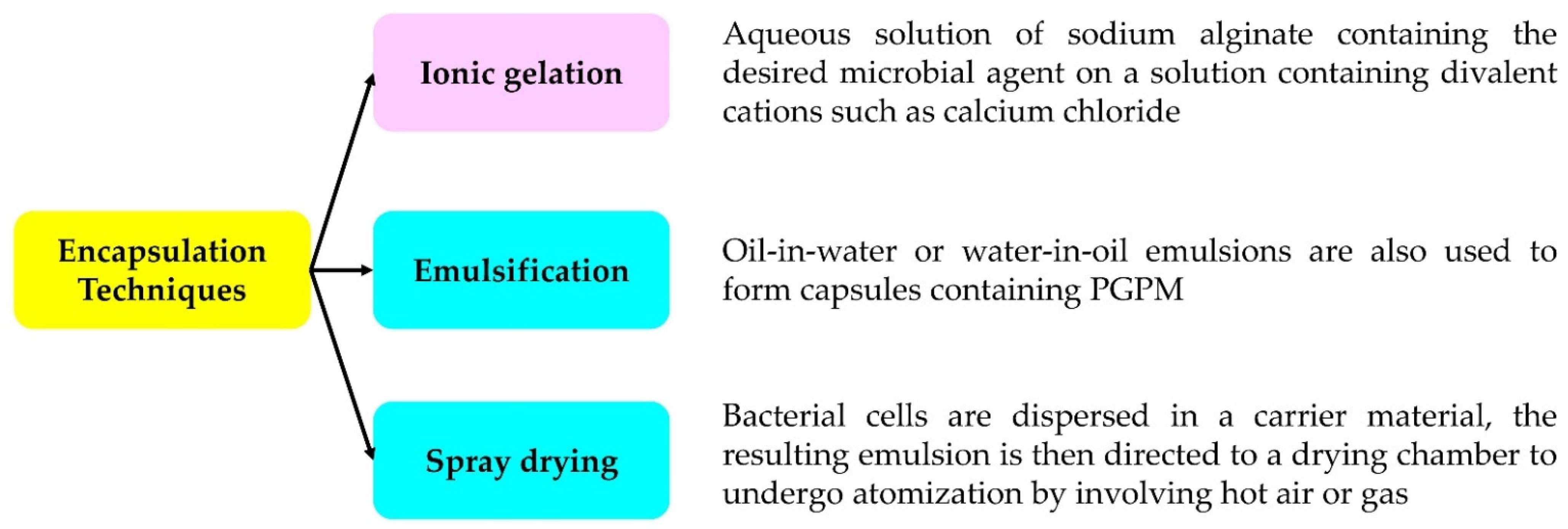 Applsci 12 09020 g002