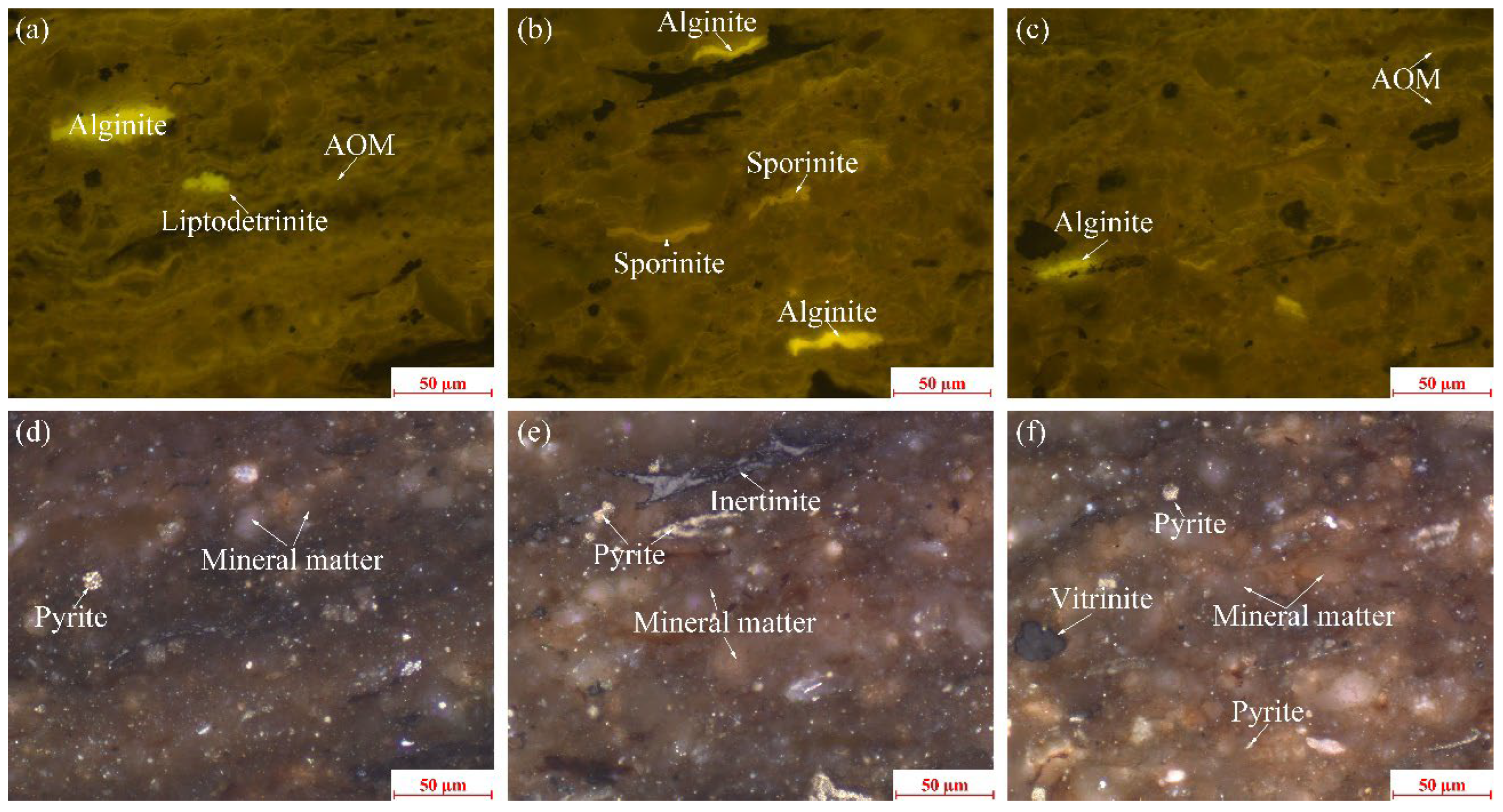 Applsci 12 09046 g001