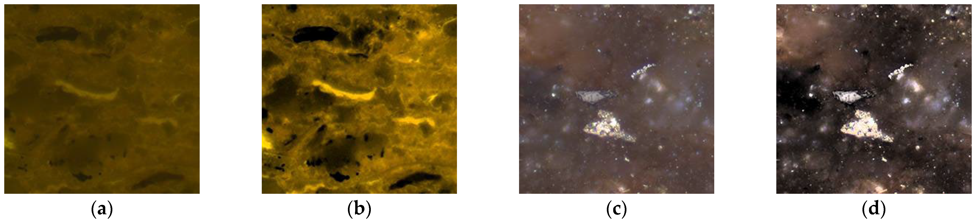 Applsci 12 09046 g003