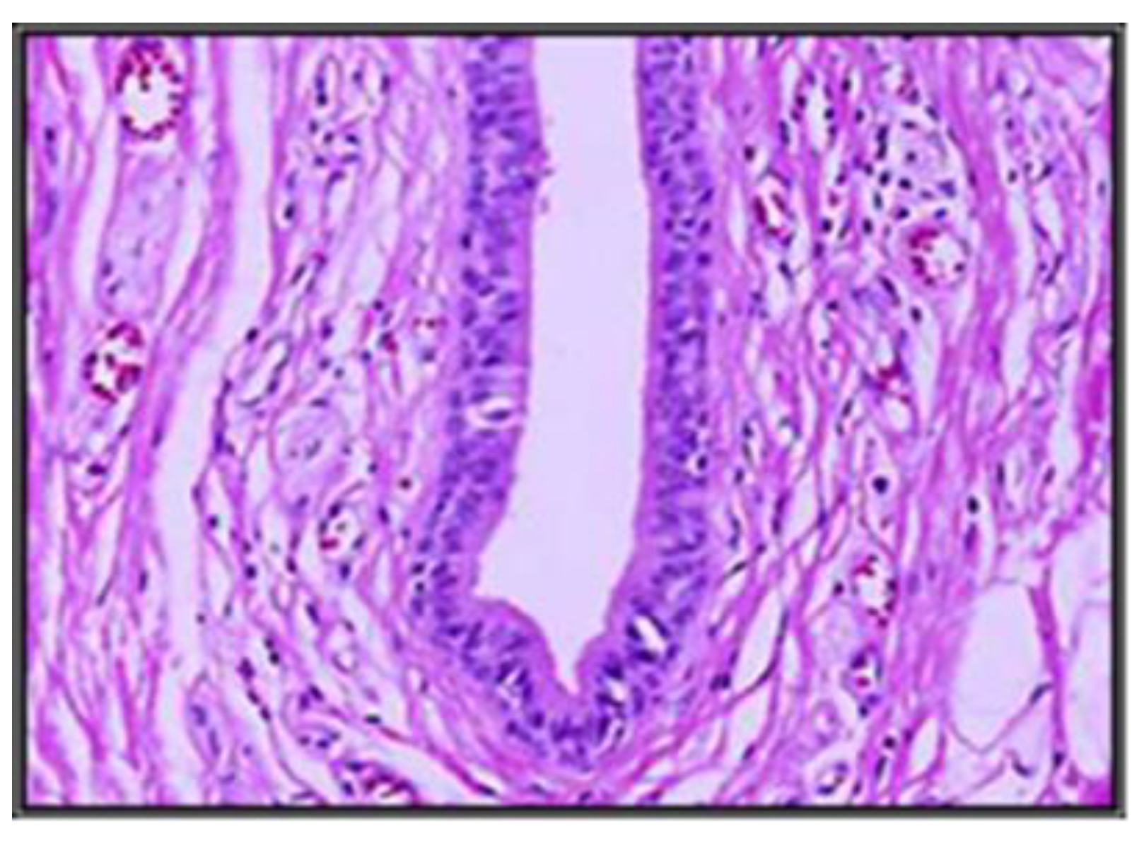 Applsci 12 09067 g004 550