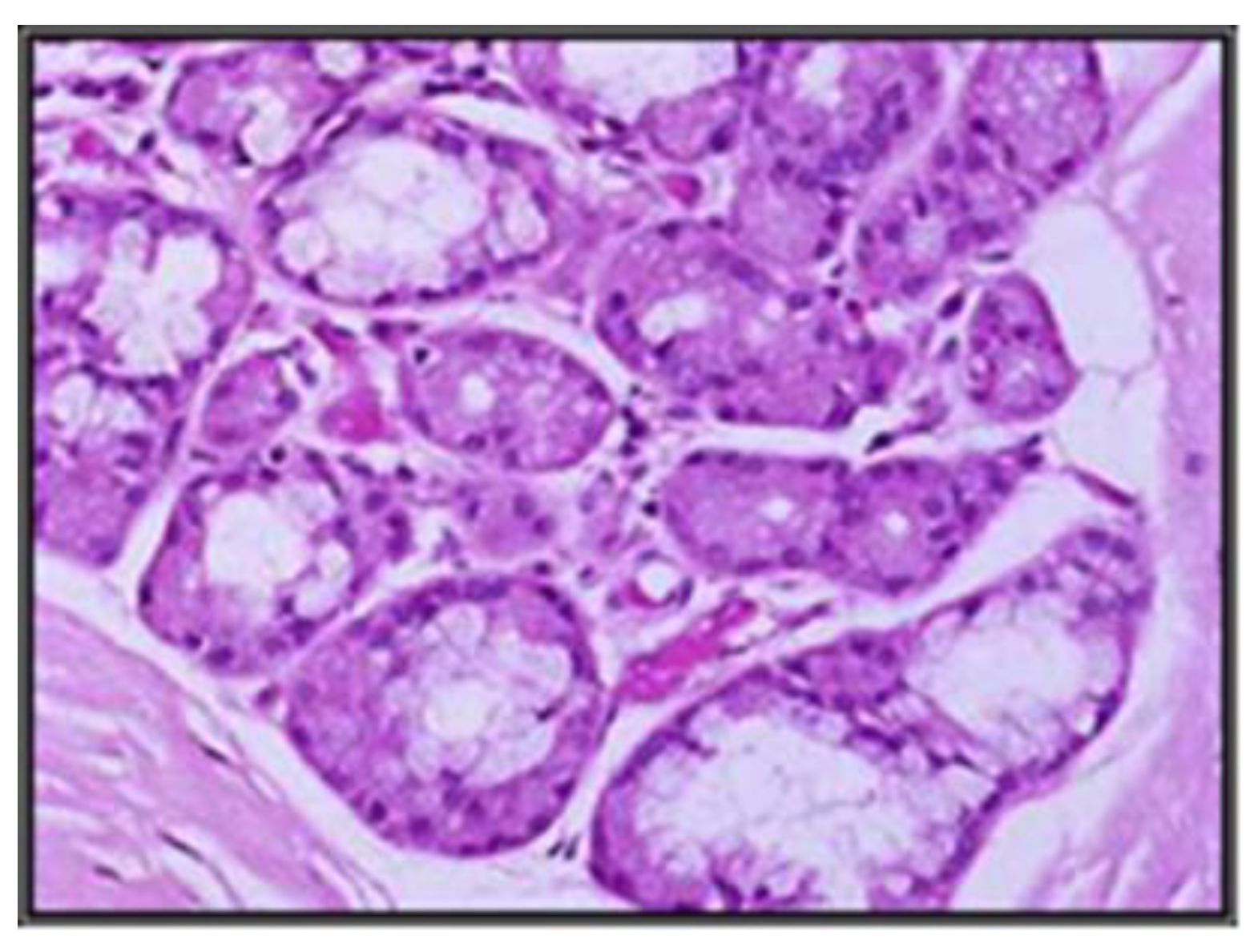 Applsci 12 09067 g005 550