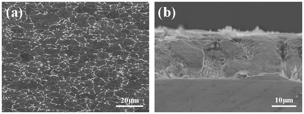 Applsci 12 09072 g001 550