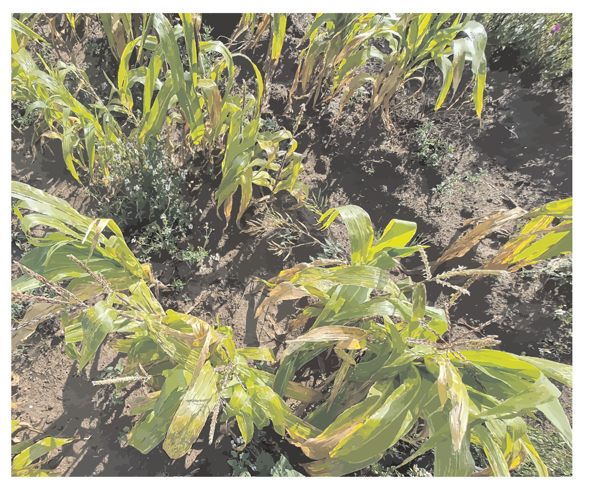 Applsci 12 09075 g015 550