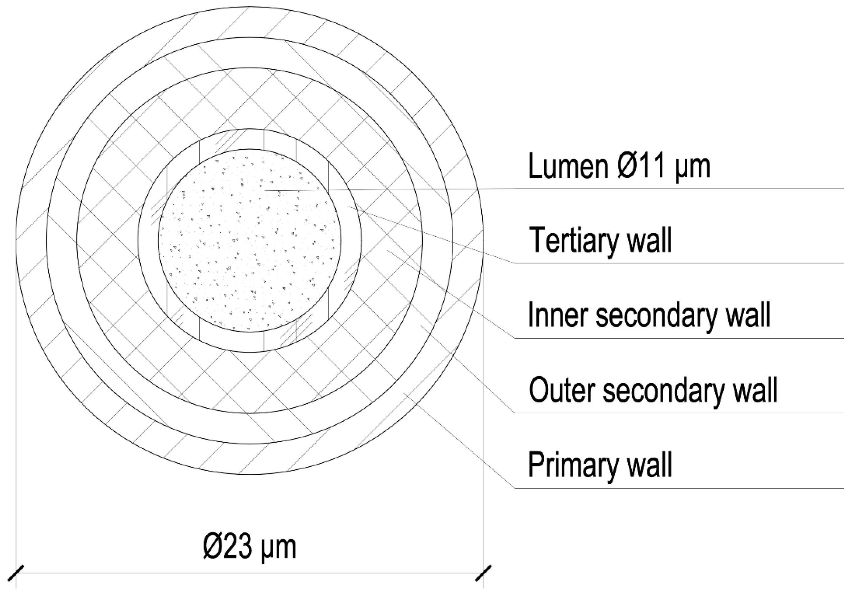 Applsci 12 09102 g001