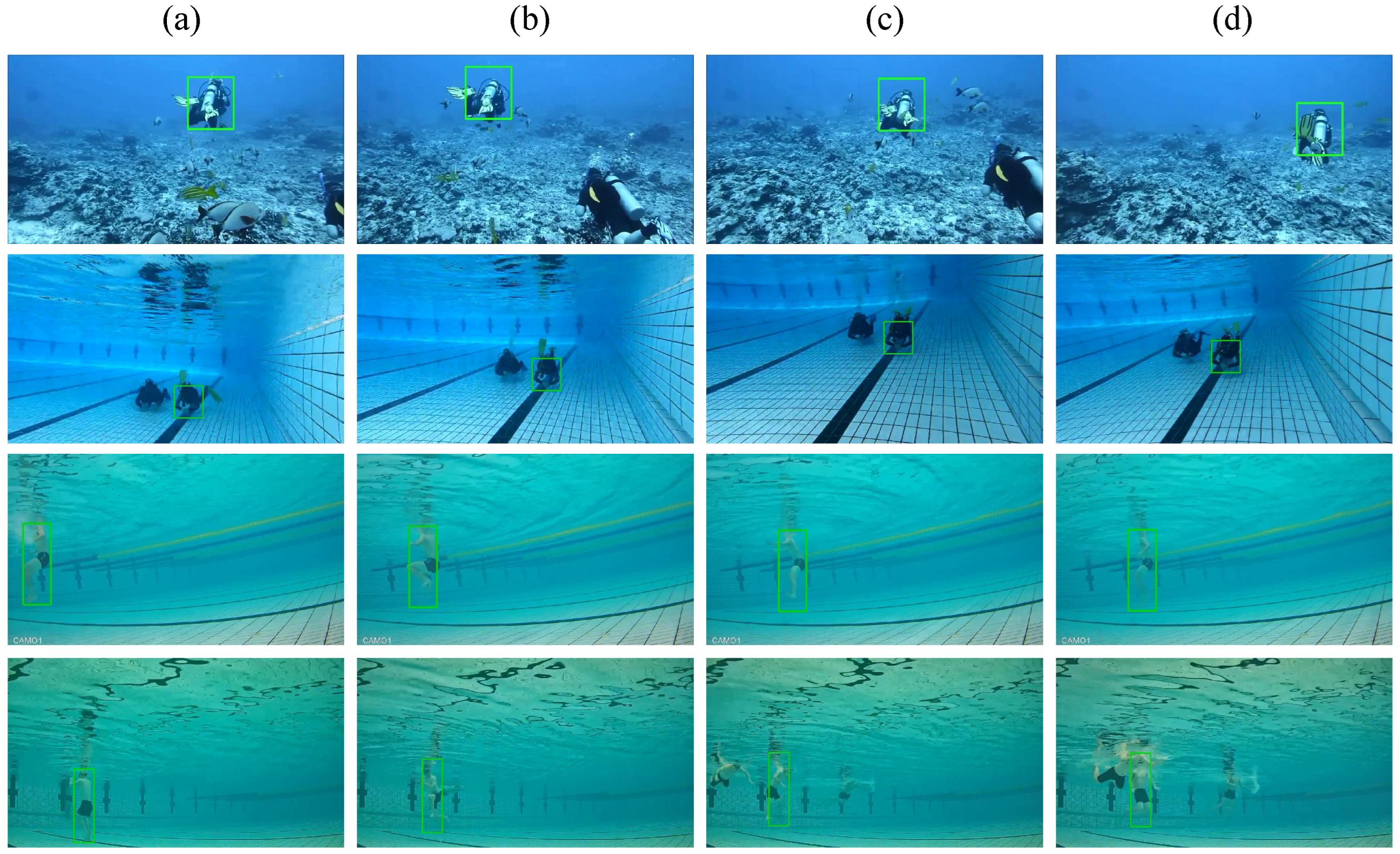 Applsci 12 09131 g005