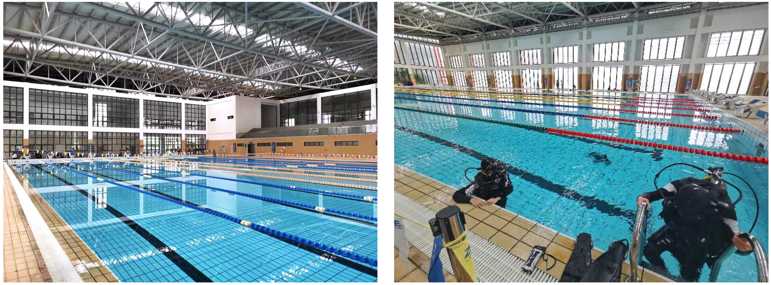 Applsci 12 09131 g013