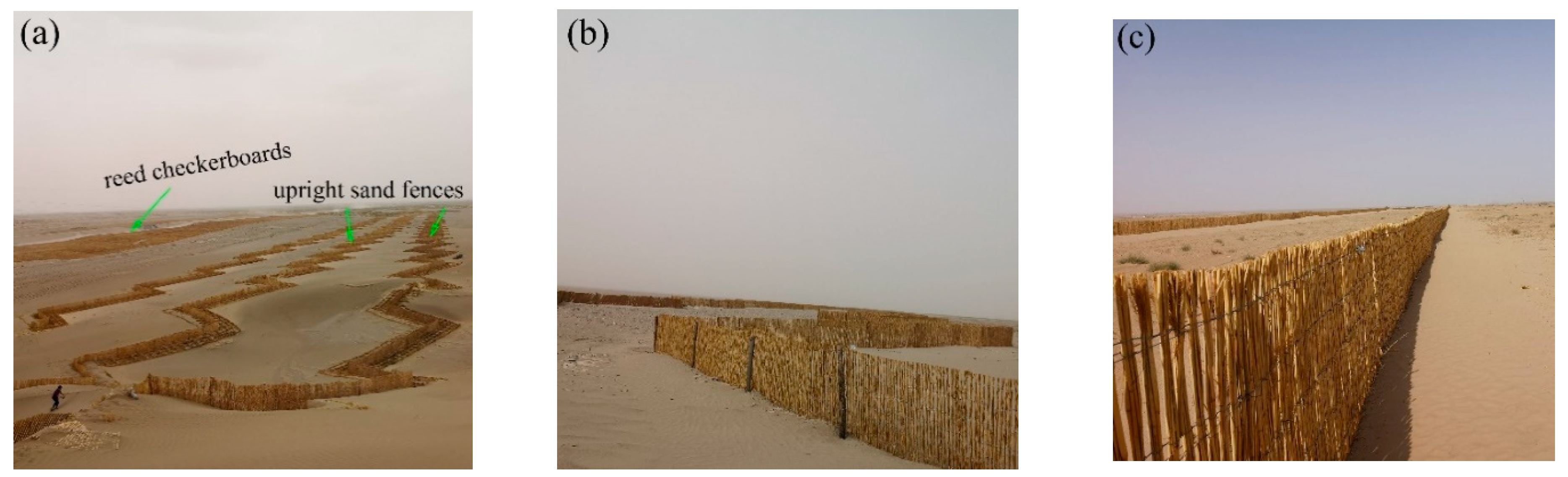 Applsci 12 09186 g011 550