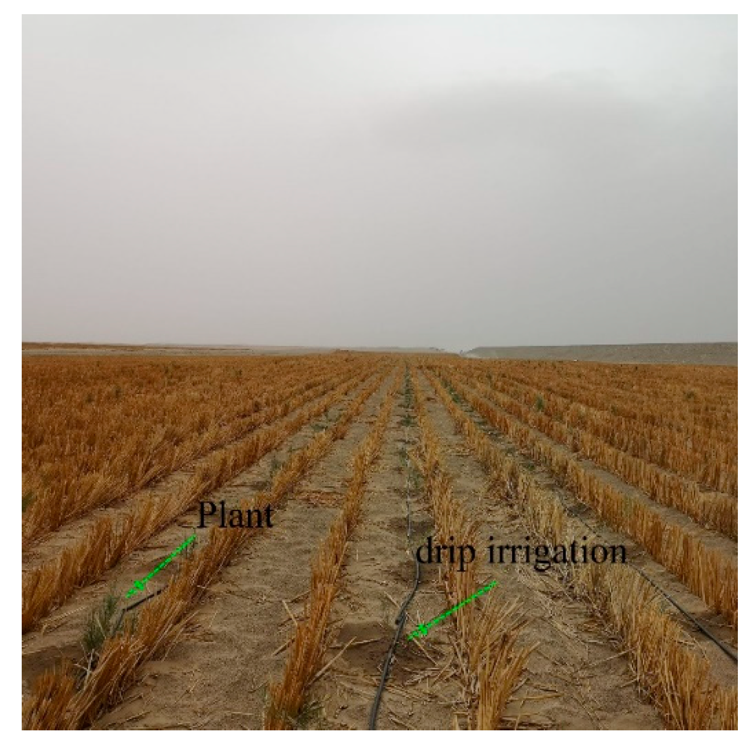 Applsci 12 09186 g013 550