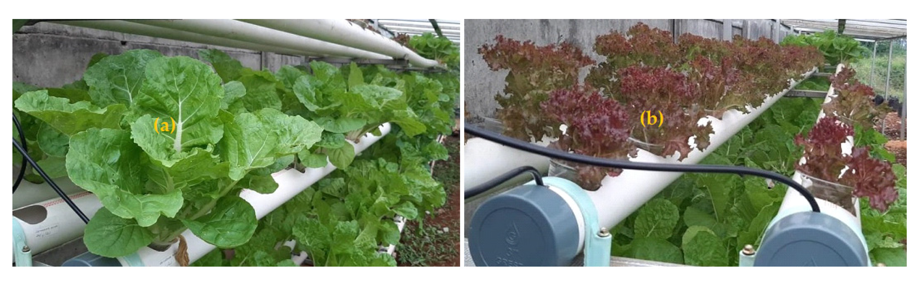 Applied Sciences Free FullText Setting Temperature and Humidity