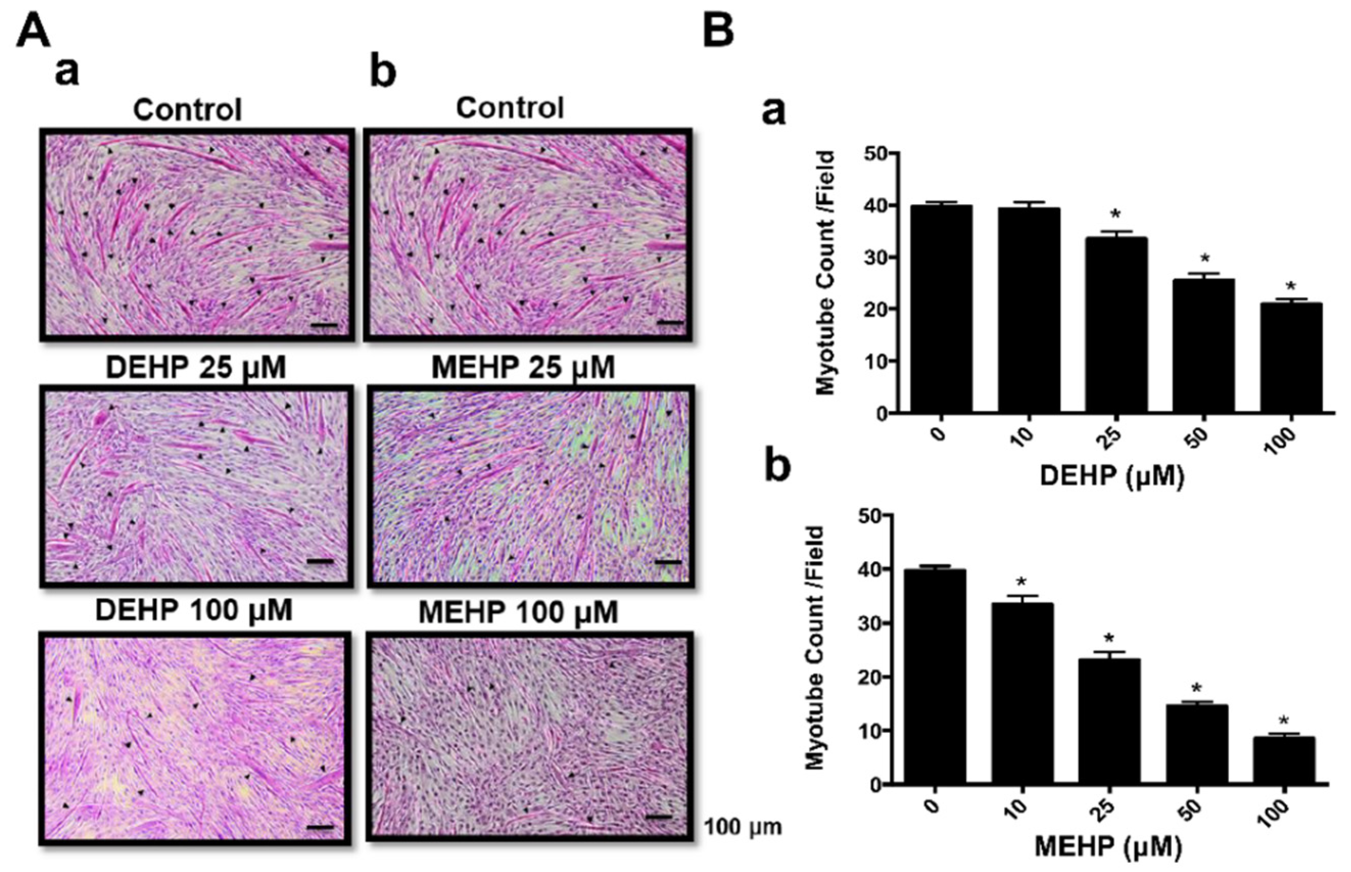 Applsci 12 09195 g003 Applsci 12 09195 g003
