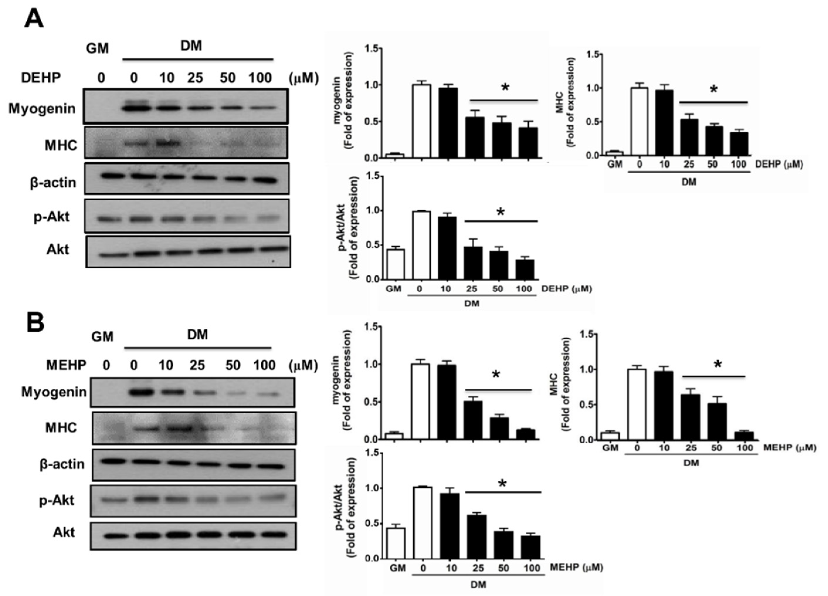 Applsci 12 09195 g004 Applsci 12 09195 g004