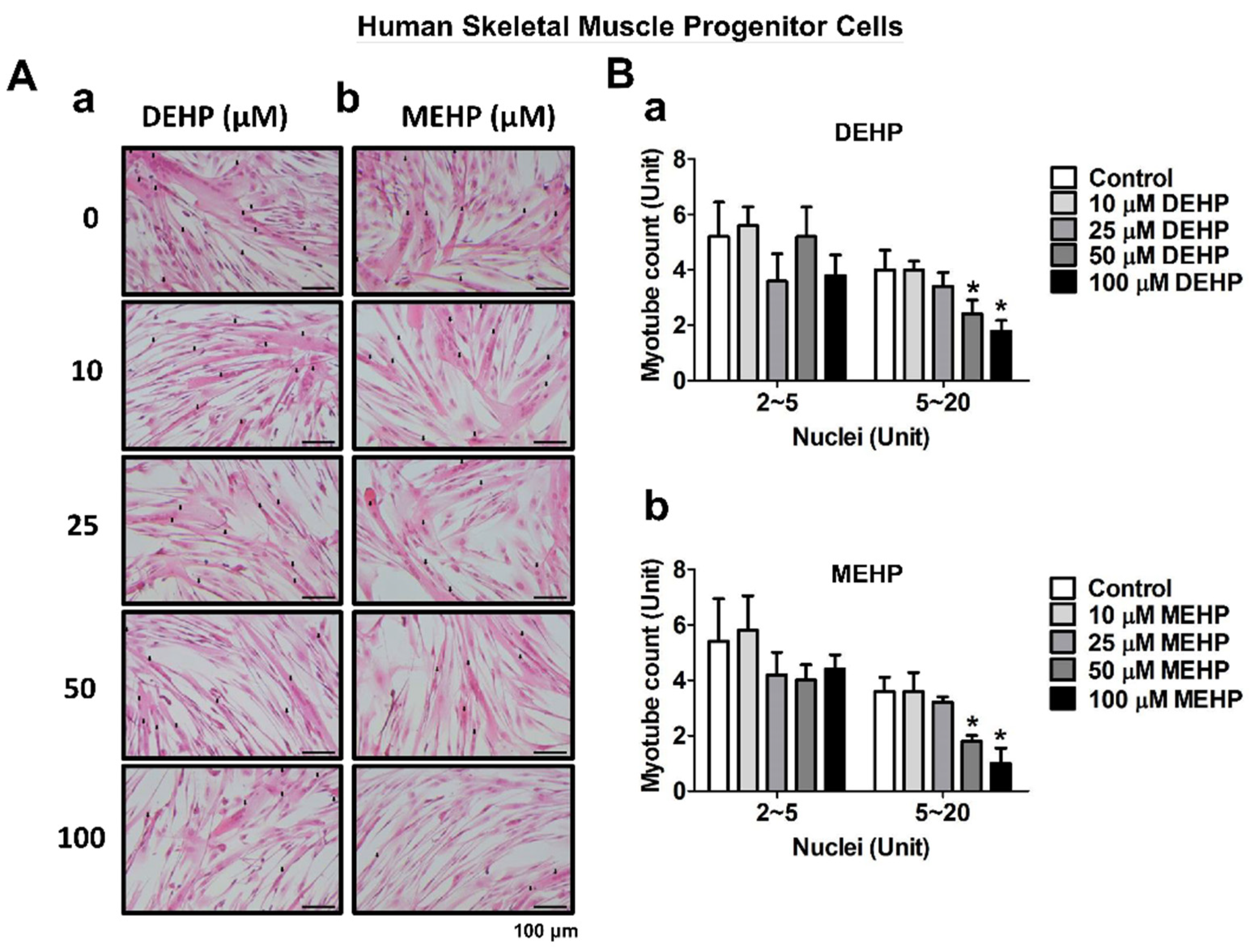 Applsci 12 09195 g005 Applsci 12 09195 g005