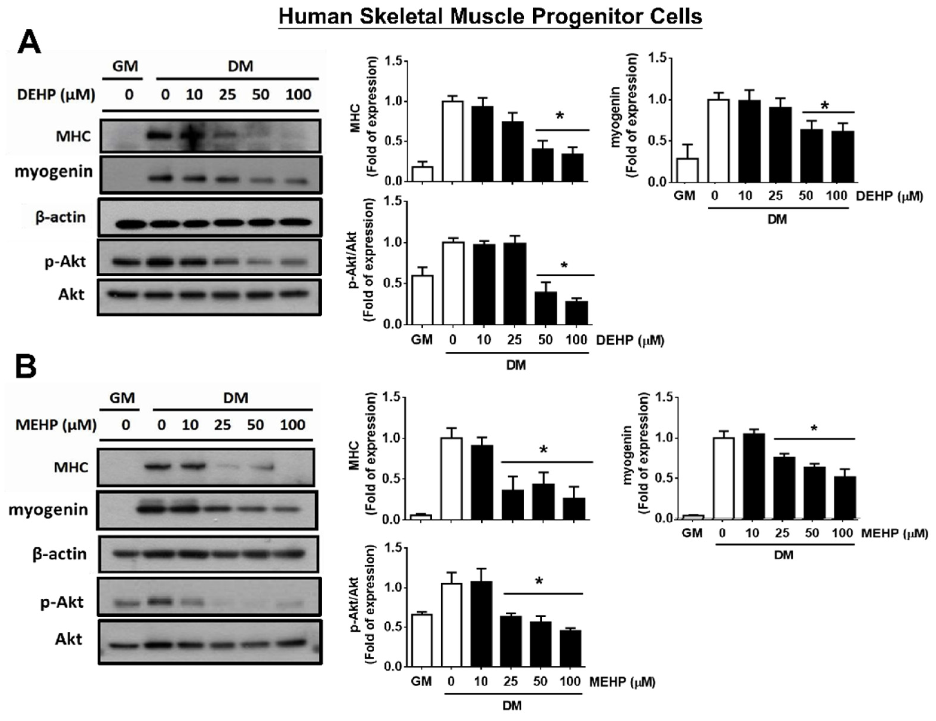 Applsci 12 09195 g006 Applsci 12 09195 g006
