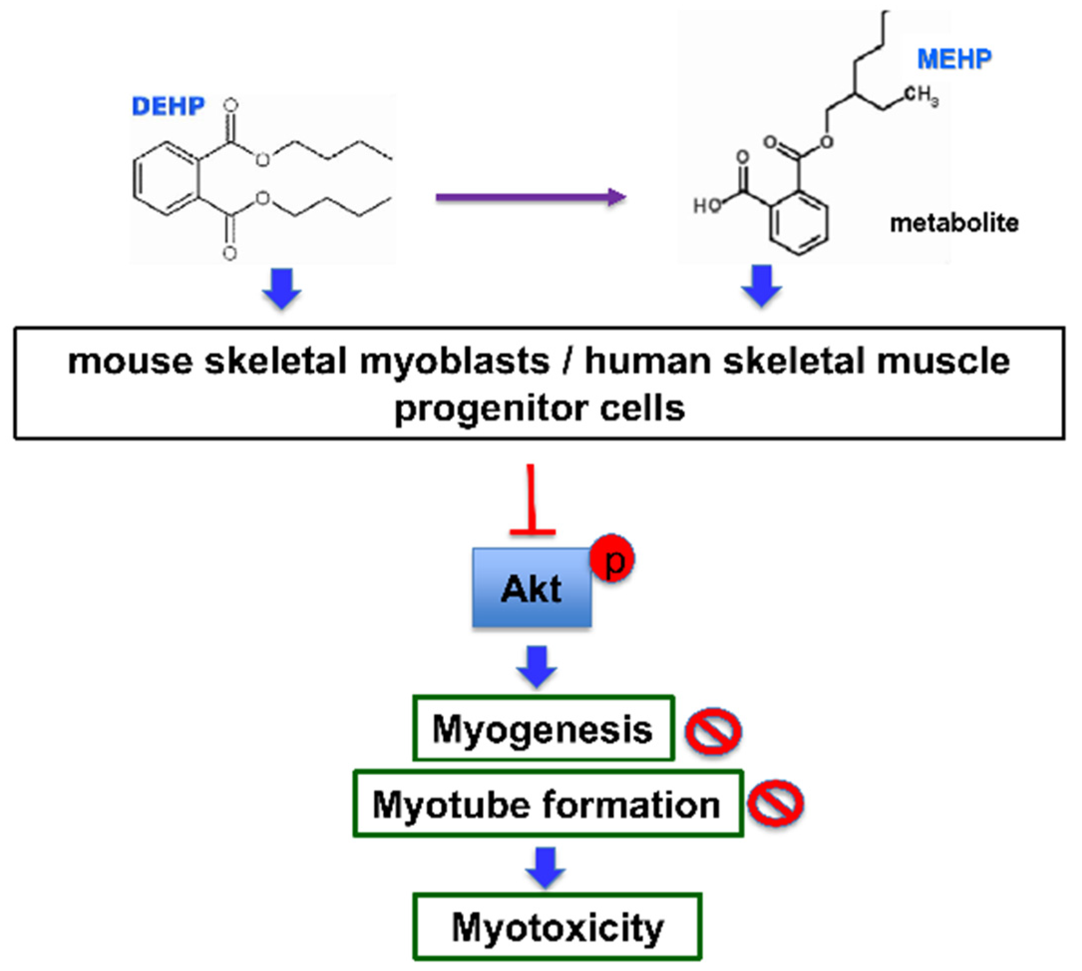 Applsci 12 09195 g007 Applsci 12 09195 g007