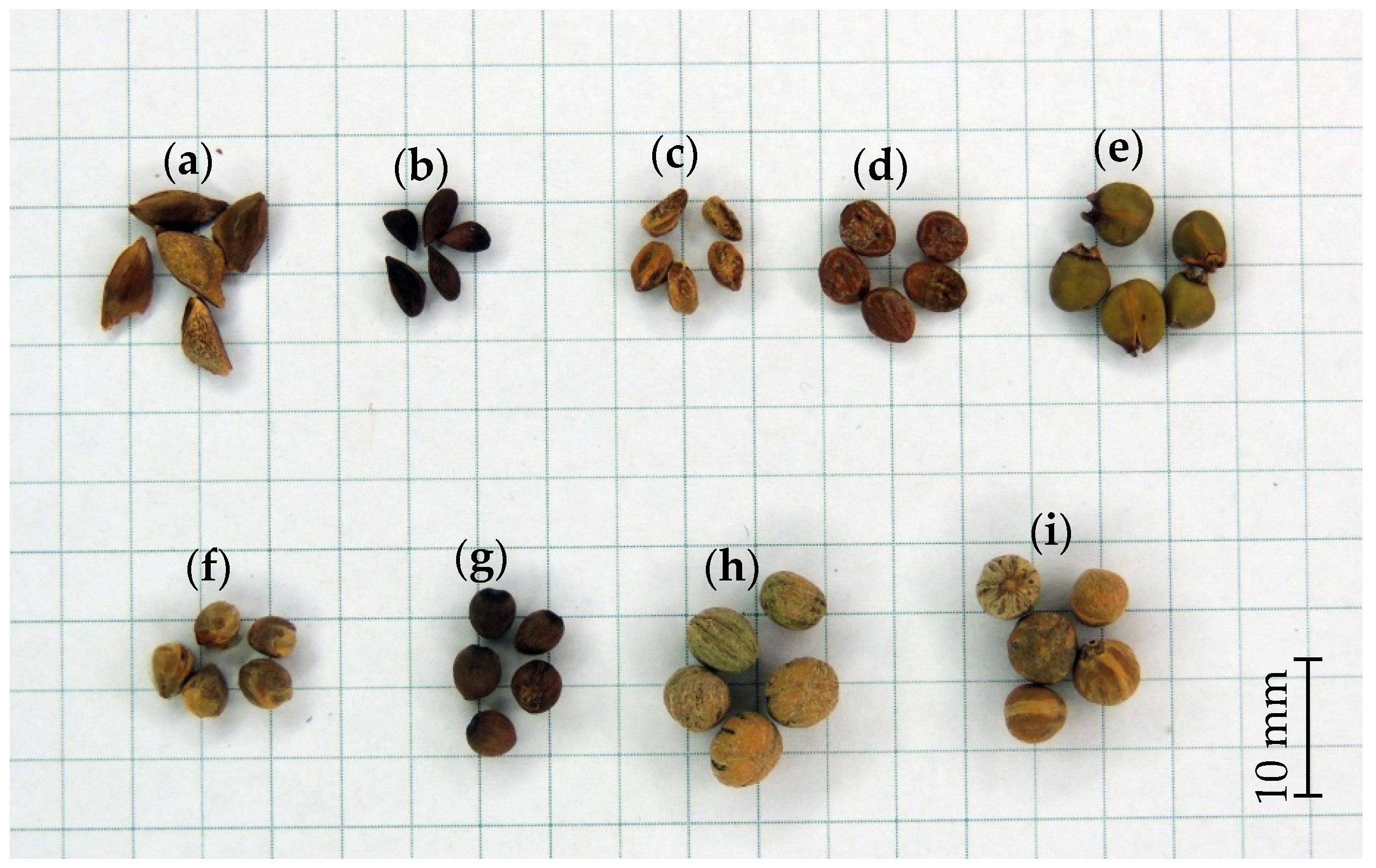 Applsci 12 09198 g001