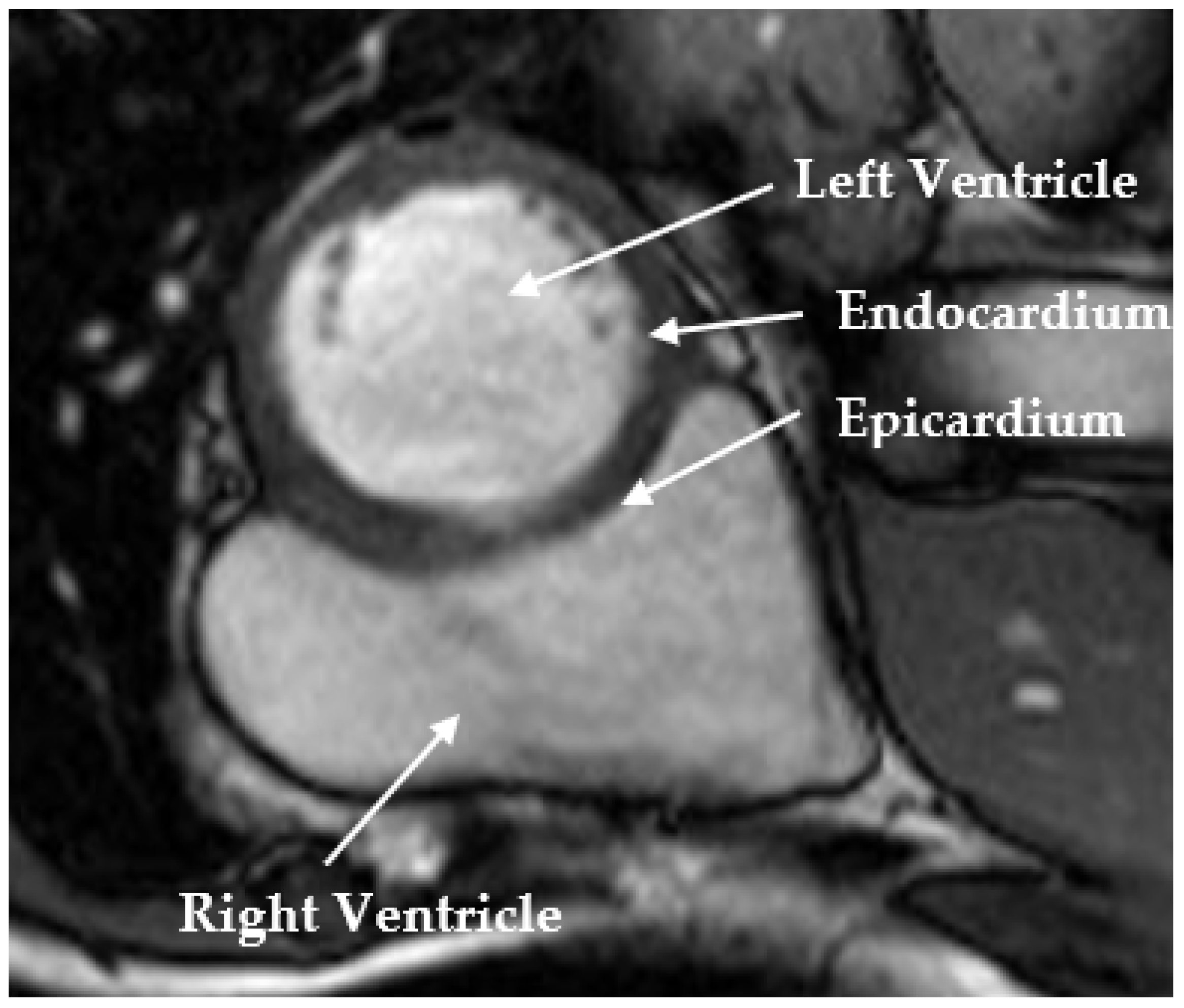 Applsci 12 09208 g001