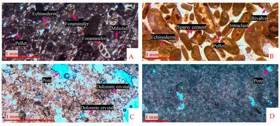 Limestone Characterization The Effect of the Petrography, Mineralogy, and Physical Properties of ...