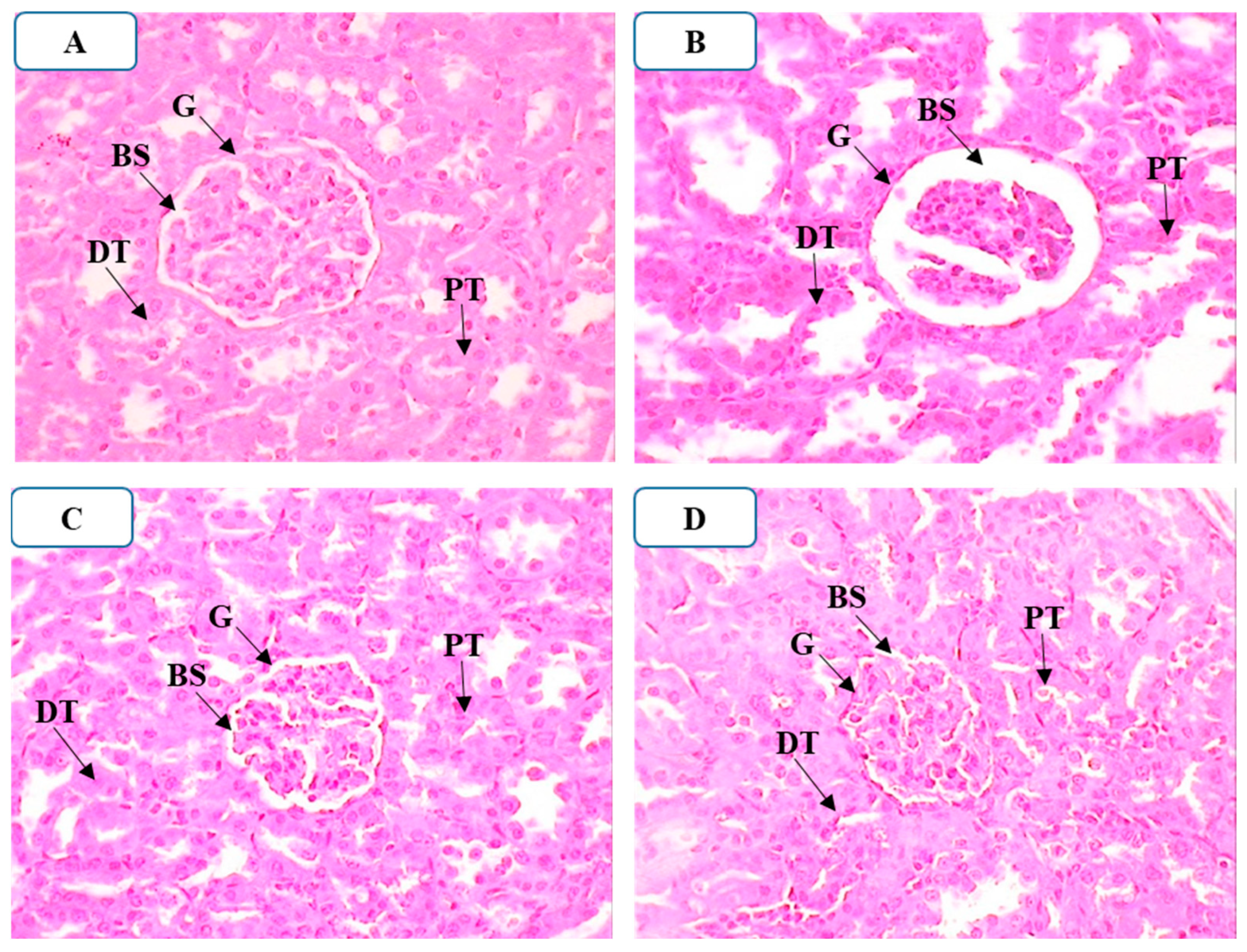 Applsci 12 09272 g008