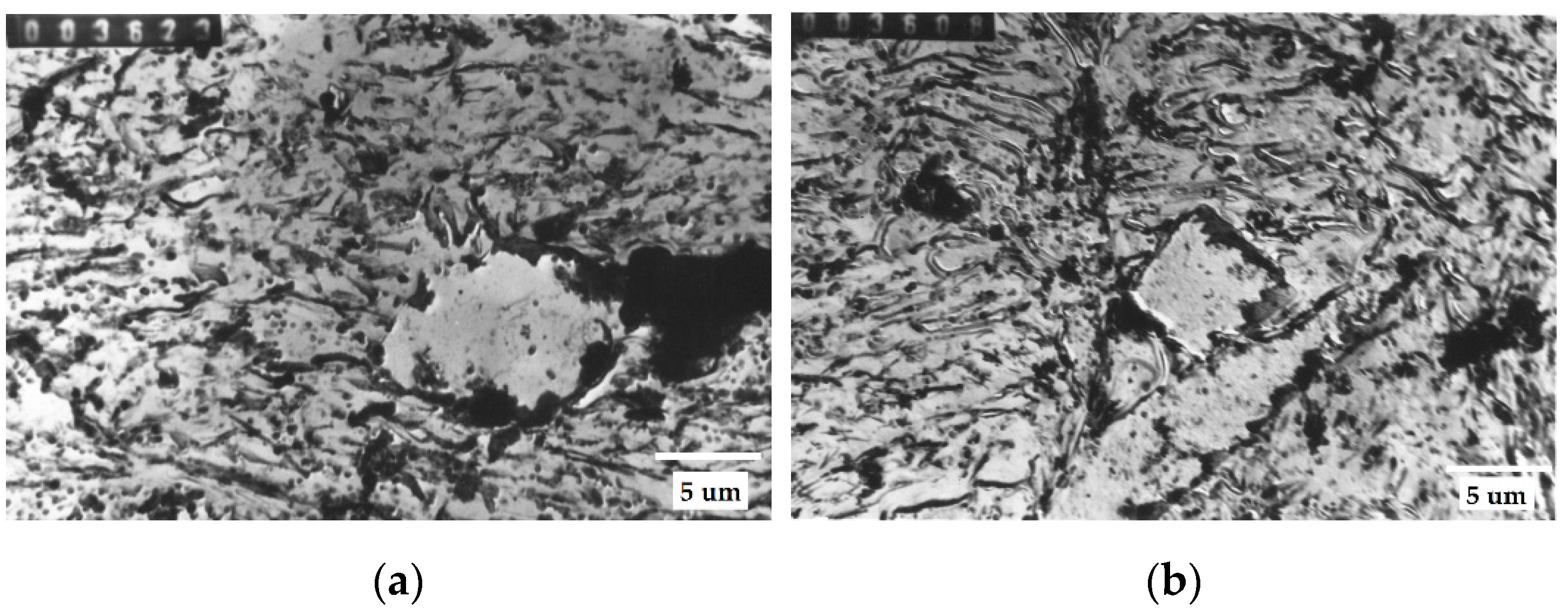 Applsci 12 09292 g001 Applsci 12 09292 g001