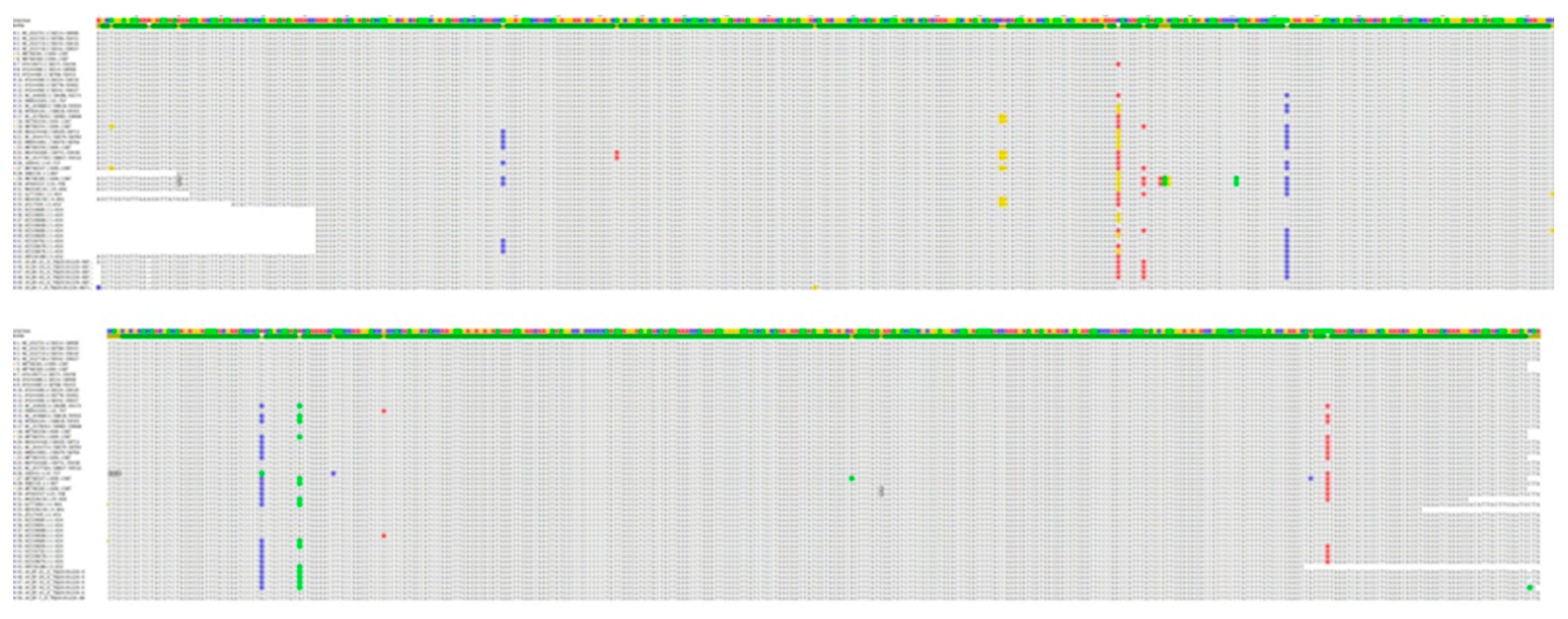 Applsci 12 09293 g002 Applsci 12 09293 g002