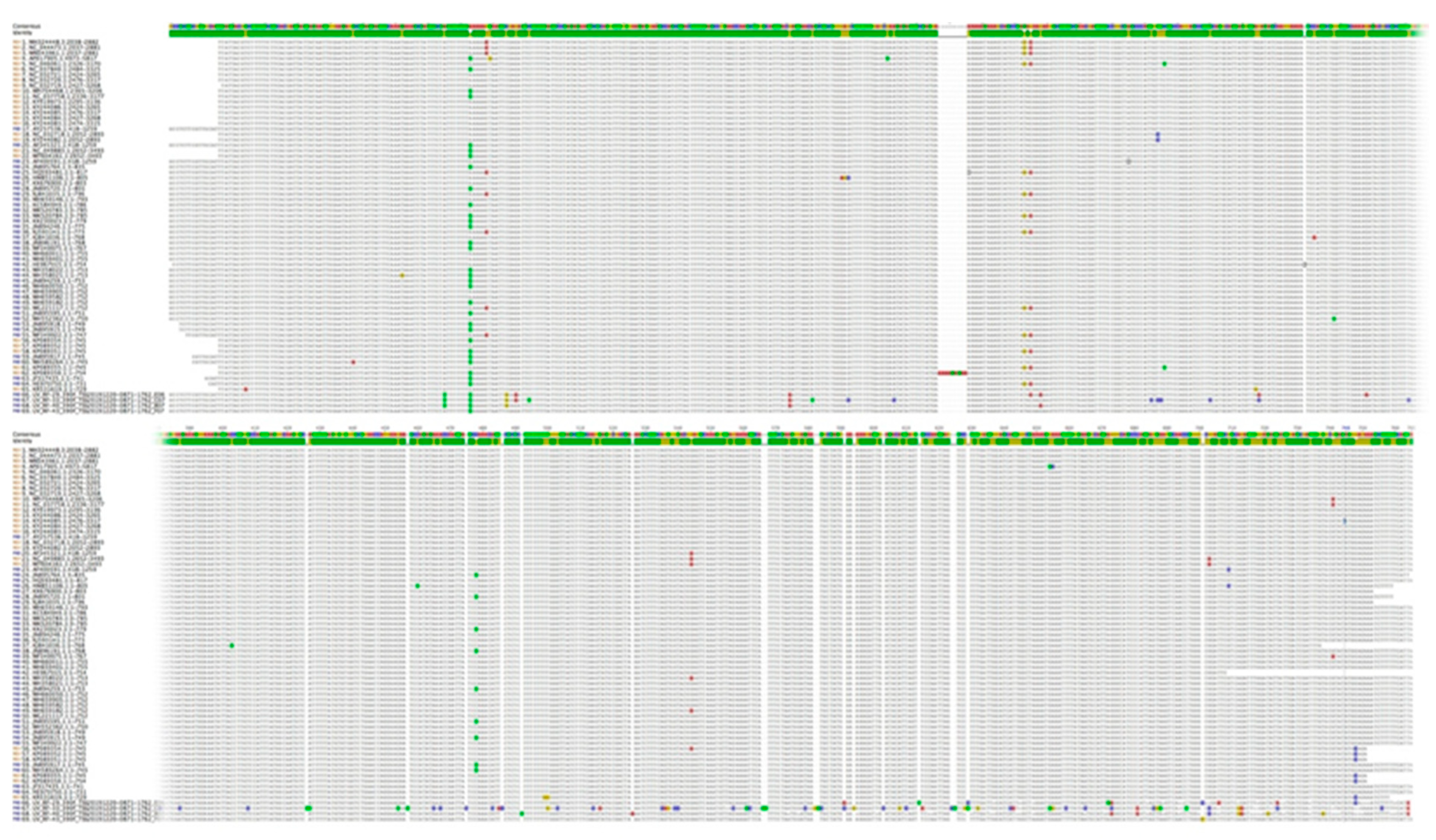 Applsci 12 09293 g004 Applsci 12 09293 g004