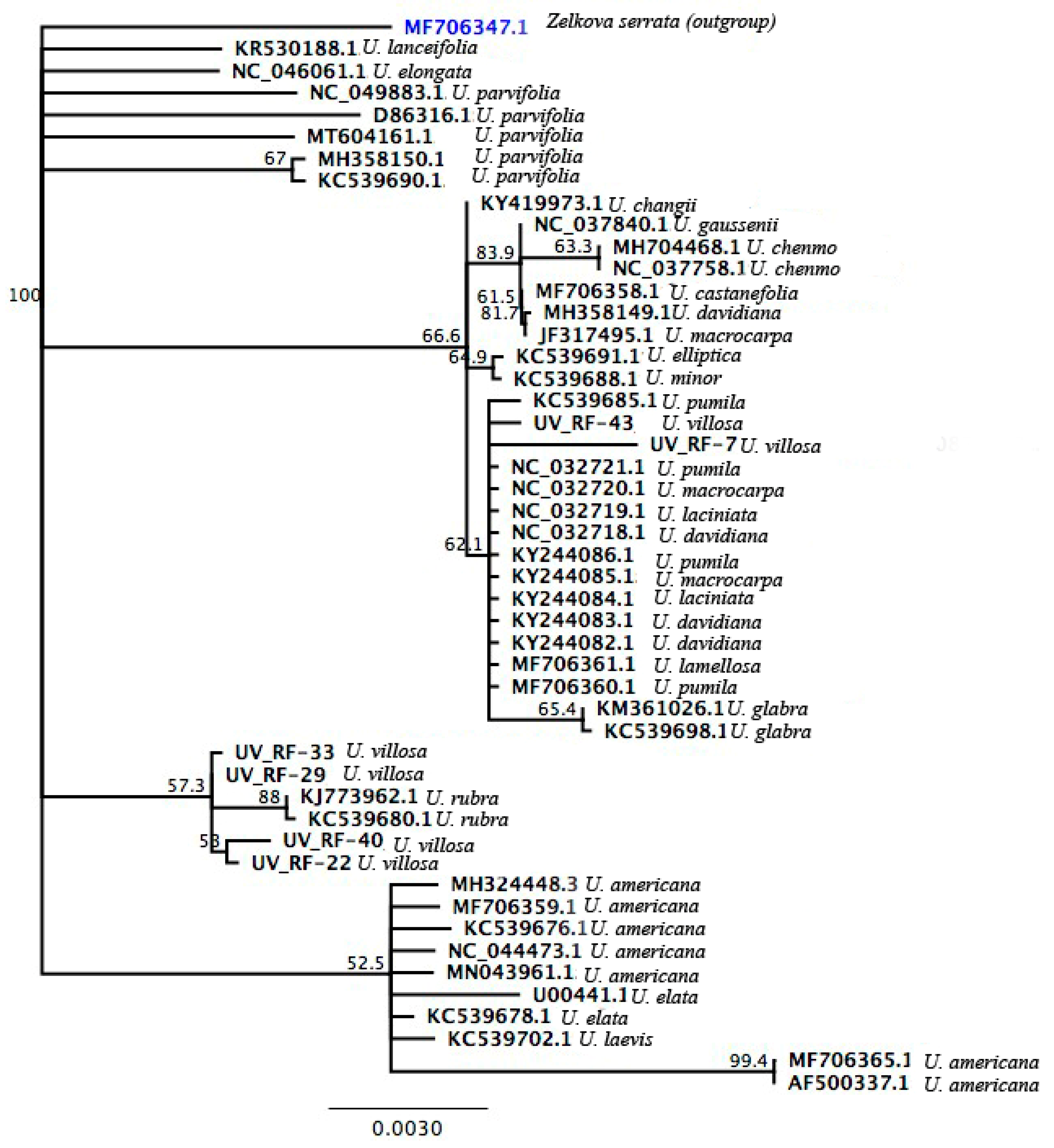Applsci 12 09293 g006 Applsci 12 09293 g006