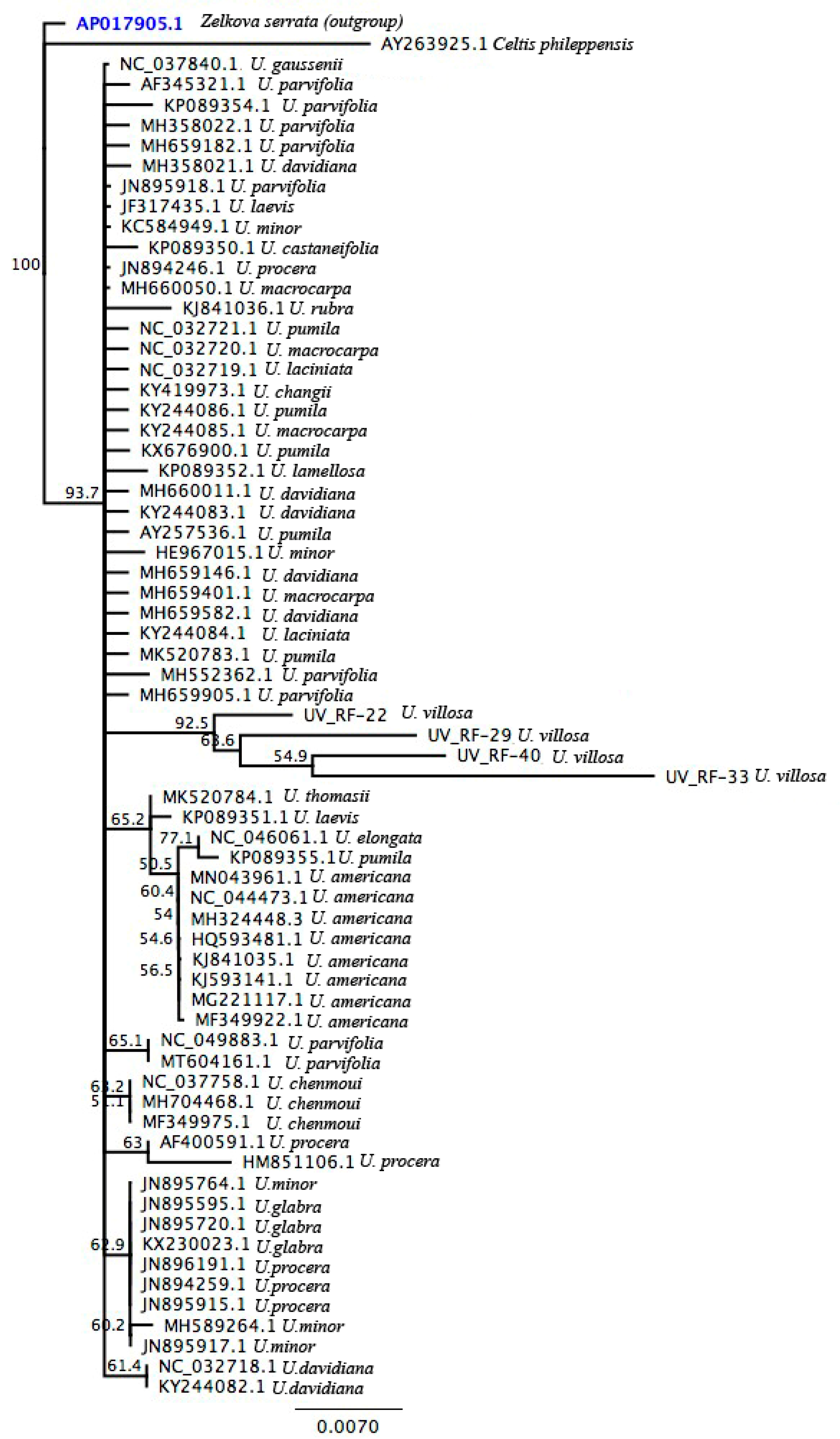 Applsci 12 09293 g007 Applsci 12 09293 g007