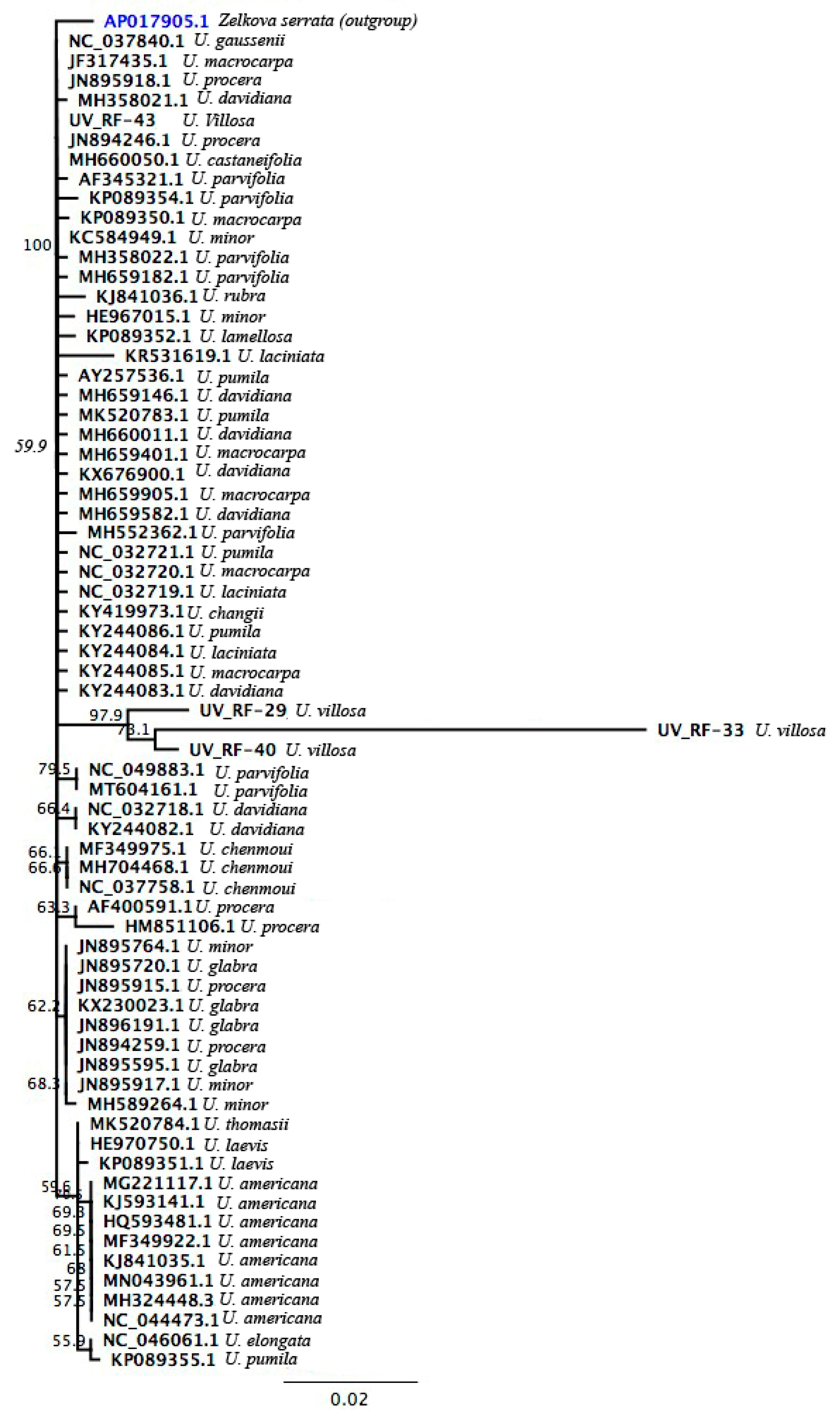 Applsci 12 09293 g008 Applsci 12 09293 g008