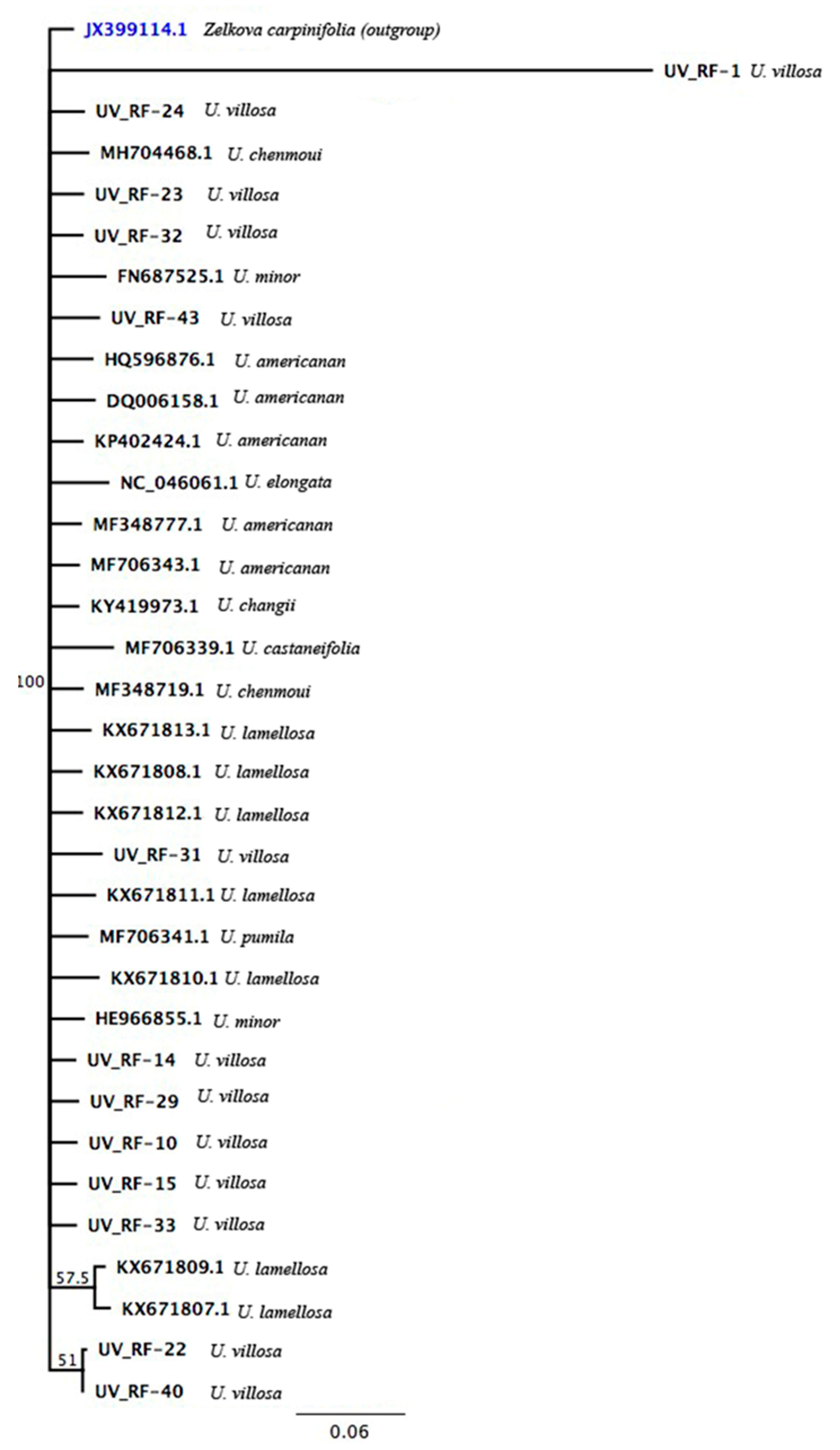 Applsci 12 09293 g009 Applsci 12 09293 g009