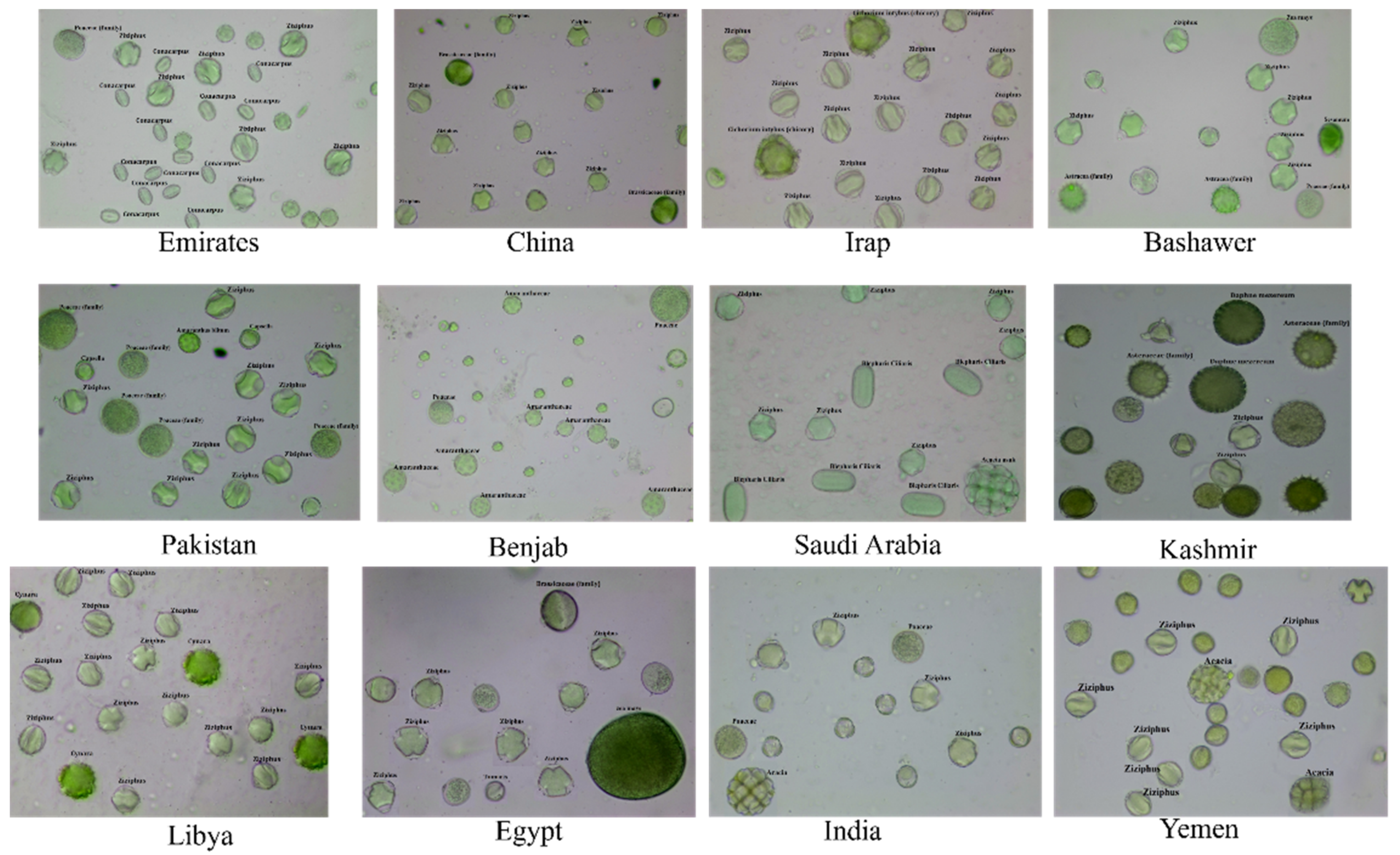 Applsci 12 09295 g001 Applsci 12 09295 g001