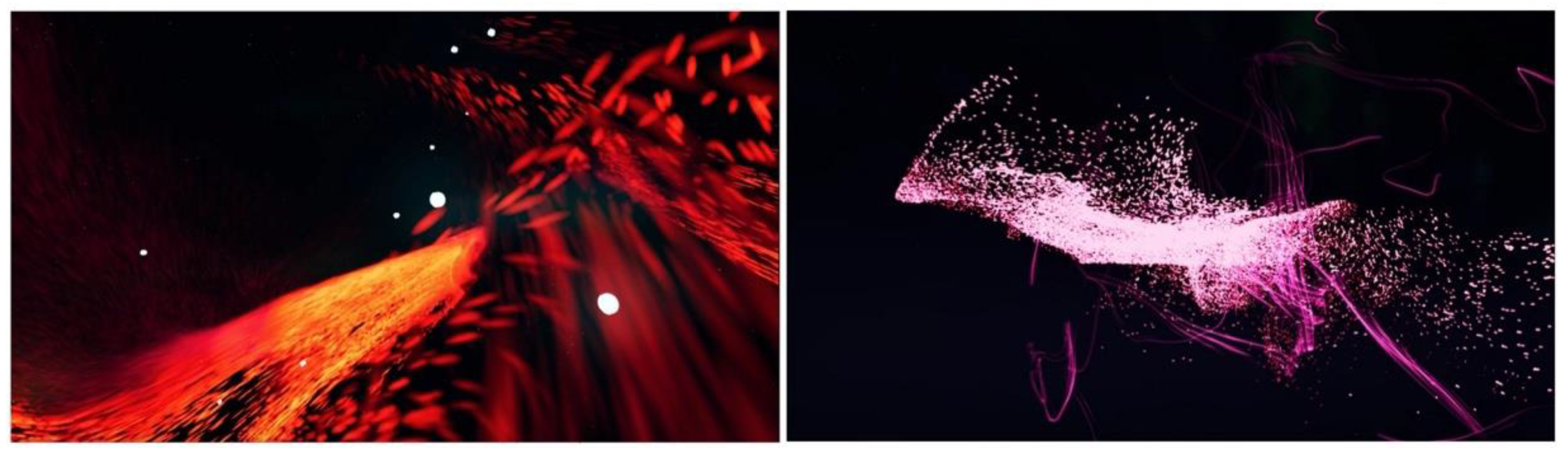 Applsci 12 09316 g001