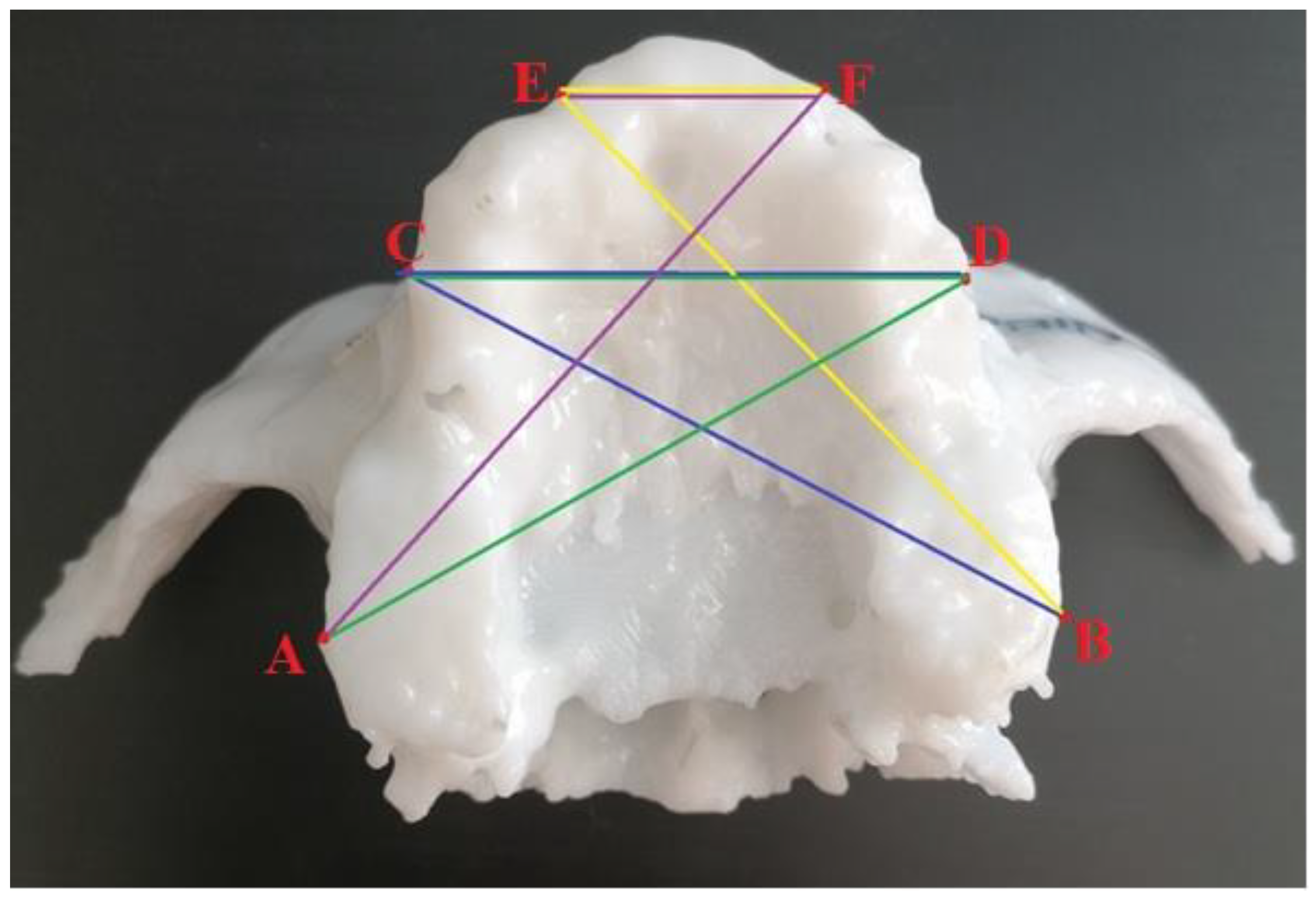 Applsci 12 09320 g001