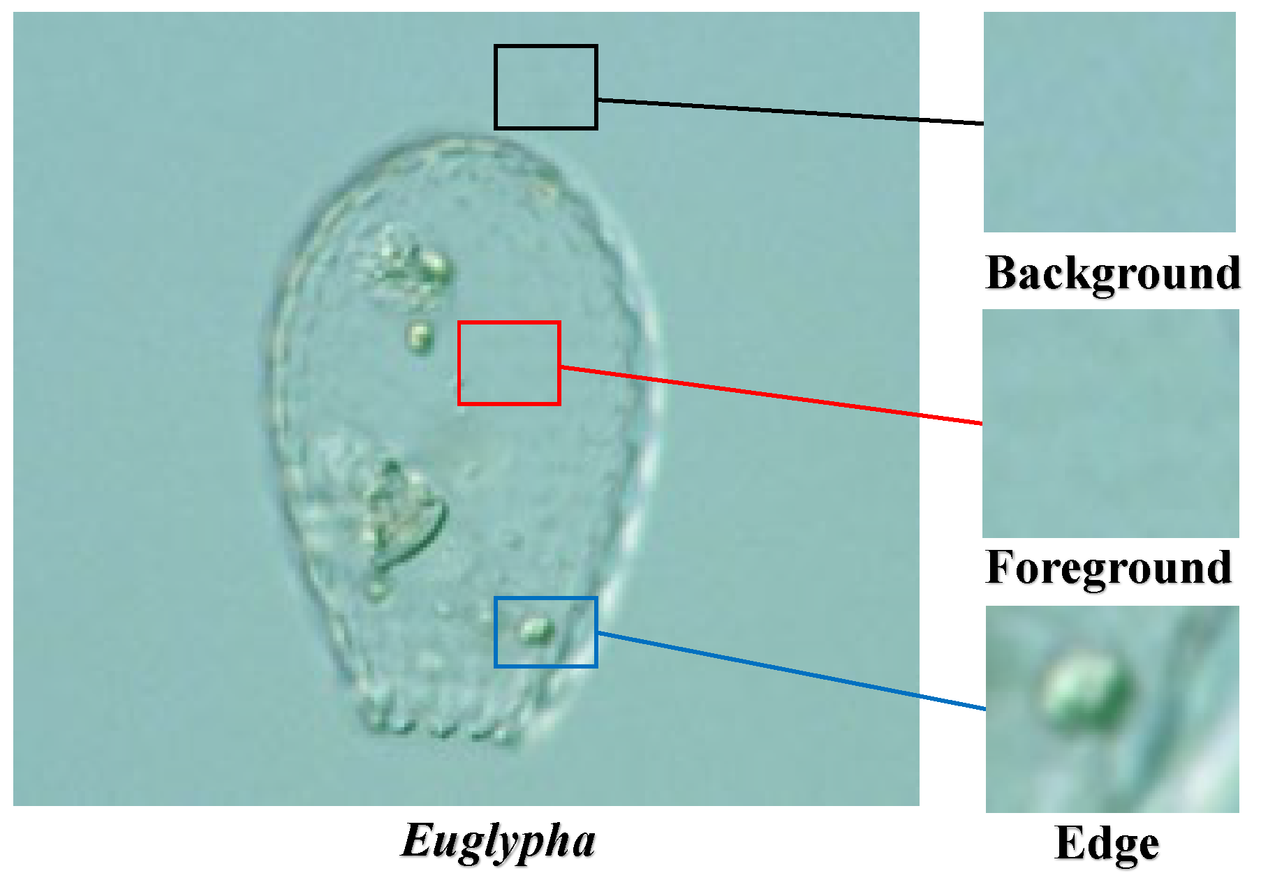 Applsci 12 09321 g001