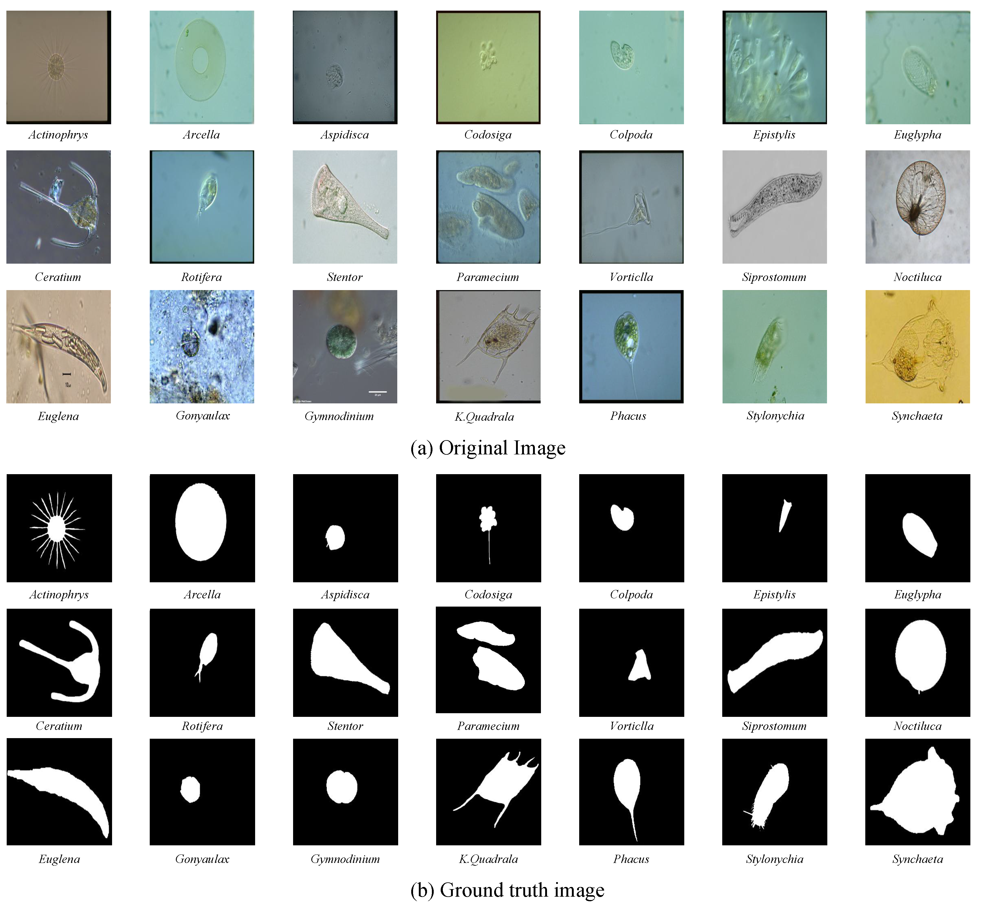 Applsci 12 09321 g003