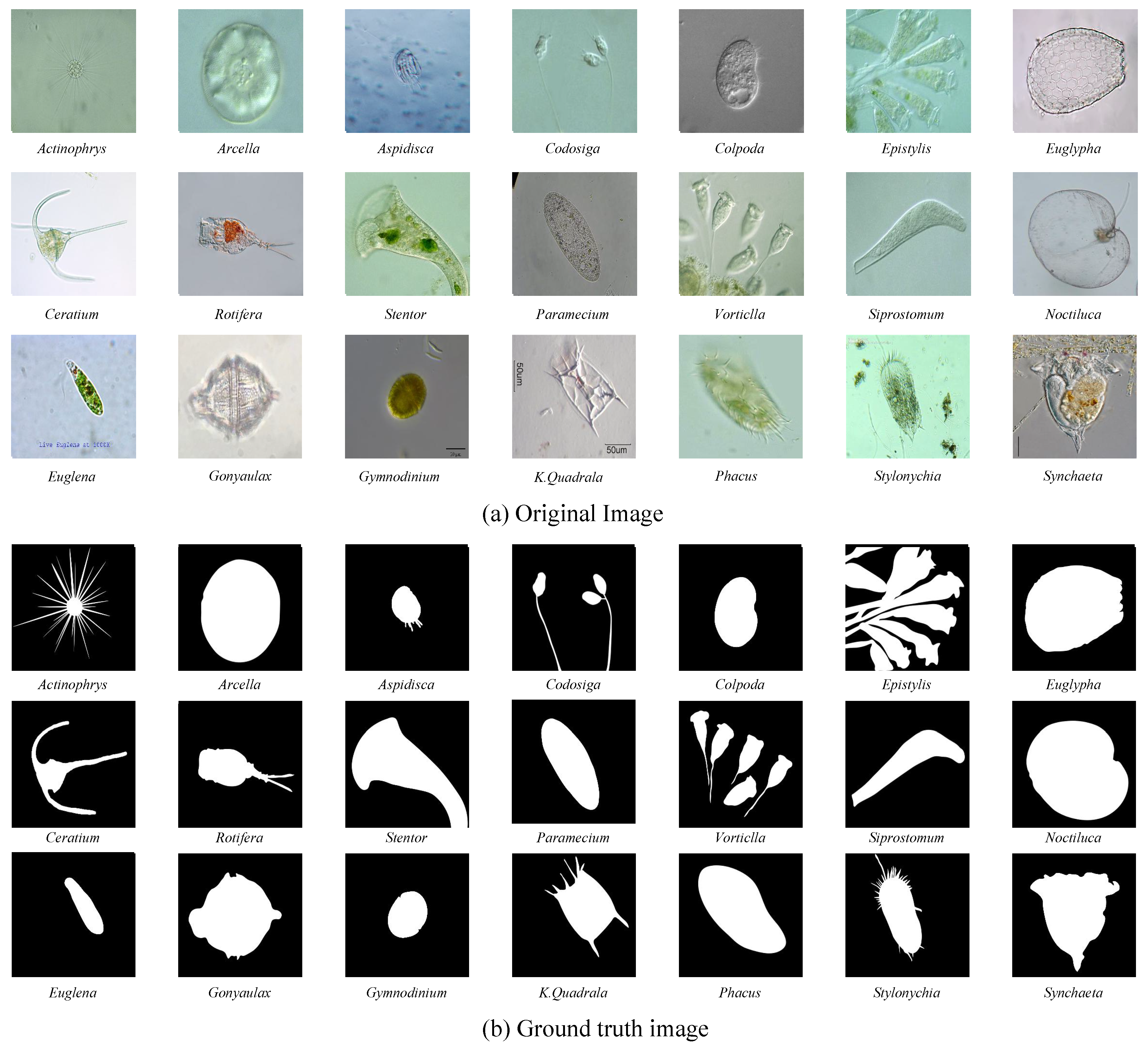 Applsci 12 09321 g010