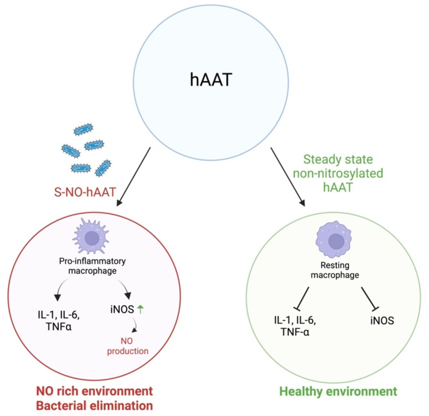 Applsci 12 09359 g002